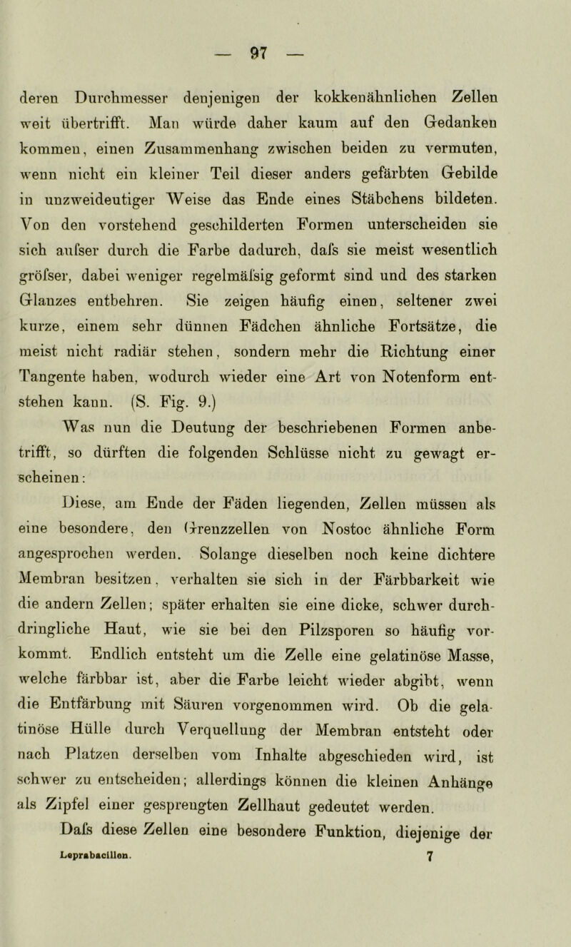 deren Durchmesser denjenigen der kokkenähnlichen Zellen weit übertrifFt. Man würde daher kaum auf den Gedanken kommen, einen Zusammenhang zwischen beiden zu vermuten, wenn nicht ein kleiner Teil dieser anders gefärbten Gebilde in unzweideutiger Weise das Ende eines Stäbchens bildeten. Von den vorstehend geschilderten Formen unterscheiden sie sich aufser durch die Farbe dadurch, dais sie meist wesentlich gröfser, dabei weniger regelmäfsig geformt sind und des starken Glanzes entbehren. Sie zeigen häufig einen, seltener zwei kurze, einem sehr dünnen Fädchen ähnliche Fortsätze, die meist nicht radiär stehen, sondern mehr die Richtung einer Tangente haben, wodurch wieder eine Art von Notenform ent- stehen kann. (S. Fig. 9.) Was nun die Deutung der beschriebenen Formen anbe- trifft, so dürften die folgenden Schlüsse nicht zu gewagt er- scheinen : Diese, am Ende der Fäden liegenden, Zellen müssen als eine besondere, den Grenzzellen von Nostoc ähnliche Form angesprochen werden. Solange dieselben noch keine dichtere Membran besitzen, verhalten sie sich in der Färbbarkeit wie die andern Zellen; später erhalten sie eine dicke, schwer durch- dringliche Haut, wie sie bei den Pilzsporen so häufig vor- kommt. Endlich entsteht um die Zelle eine gelatinöse Masse, welche färbbar ist, aber die Farbe leicht wieder abgiht, wenn die Entfärbung mit Säuren vorgenommen wird. Ob die gela- tinöse Hülle durch Verquellung der Membran entsteht oder nach Platzen derselben vom Inhalte abgeschieden wird, ist schwer zu entscheiden; allerdings können die kleinen Anhänge als Zipfel einer gesprengten Zellhaut gedeutet werden. Dafs diese Zellen eine besondere Punktion, diejenige der LsprftbacUleu. 7
