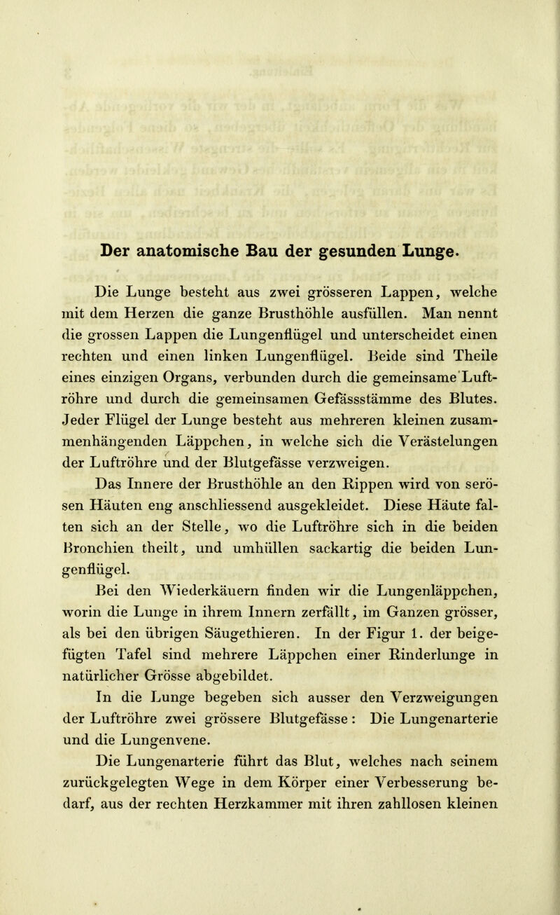 Der anatomische Bau der gesunden Lunge. Die Lunge besteht aus zwei grösseren Lappen, welche mit dem Herzen die ganze Brusthöhle ausfüllen. Man nennt die grossen Lappen die Lungenflügel und unterscheidet einen rechten und einen linken Lungenflügel. Beide sind Theile eines einzigen Organs, verbunden durch die gemeinsame Luft- röhre und durch die gemeinsamen Gefässstämme des Blutes. Jeder Flügel der Lunge besteht aus mehreren kleinen zusam- menhängenden Läppchen, in w^elche sich die Verästelungen der Luftröhre und der Blutgefässe verzweigen. Das Innere der Brusthöhle an den Rippen wird von serö- sen Häuten eng anschliessend ausgekleidet. Diese Häute fal- ten sich an der Stelle, wo die Luftröhre sich in die beiden Bronchien theilt, und umhüllen sackartig die beiden Lun- genflügel. Bei den Wiederkäuern finden wir die Lungenläppchen, worin die Lunge in ihrem Innern zerfällt, im Ganzen grösser, als bei den übrigen Säugethieren. In der Figur 1. der beige- fügten Tafel sind mehrere Läppchen einer Rinderlunge in natürlicher Grösse abgebildet. In die Lunge begeben sich ausser den Verzweigungen der Luftröhre zwei grössere Blutgefässe : Die Lungenarterie und die Lungenvene. Die Lungenarterie führt das Blut, welches nach seinem zurückgelegten Wege in dem Körper einer Verbesserung be- darf, aus der rechten Herzkammer mit ihren zahllosen kleinen
