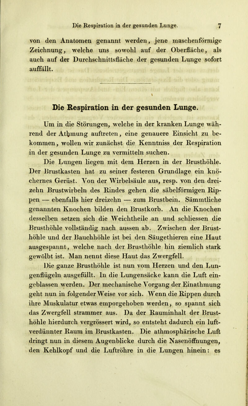 von den Anatomen genannt werden, jene maschenförmige Zeichnung, welche uns sowohl auf der Oberfläche, als auch auf der Durchschnittsfläche der gesunden Lunge sofort auffällt. Die Respiration in der gesunden Lunge. Um in die Störungen, welche in der kranken Lunge wäh- rend der Atljmung auftreten, eine genauere Einsicht zu be- kommen, wollen Avir zunächst die Kenntniss der Respiration in der gesunden Lunge zu vermitteln suchen. Die Lungen liegen mit dem Herzen in der Brusthöhle. Der Brustkasten hat zu seiner festeren Grundlage ein knö- chernes Gerüst. Von der Wirbelsäule aus, resp. von den drei- zehn Brustwirbeln des Rindes gehen die säbelförmigen Rip- pen — ebenfalls hier dreizehn — zum Brustbein. Sämmtliche genannten Knochen bilden den Brustkorb. An die Knochen desselben setzen sich die Weichtheile an und schliessen die Brusthöhle vollständig nach aussen ab. Zwischen der Brust- höhle und der Bauchhöhle ist bei den Säugethieren eine Haut ausgespannt, welche nach der Brusthöhle hin ziemlich stark gewölbt ist. Man nennt diese Haut das Zwergfell. Die ganze Brusthöhle ist nun vom Herzen imd den Lun- genflügeln ausgefüllt. In die Lungensäcke kann die Luft ein- geblassen werden. Der mechanische Vorgang der Einathmung geht nun in folgender Weise vor sich. Wenn die Rippen durch ihre Muskulatur etwas emporgehoben werden, so spannt sich das Zwergfell strammer aus. Da der Rauminhalt der Brust- höhle hierdurch vergrössert wird, so entsteht dadurch ein luft- verdünnter Raum im Brustkasten. Die athmosphärische Luft dringt nun in diesem Augenblicke durch die Nasenöffnungen, den Kehlkopf und die Luftröhre in die Lungen hinein: es