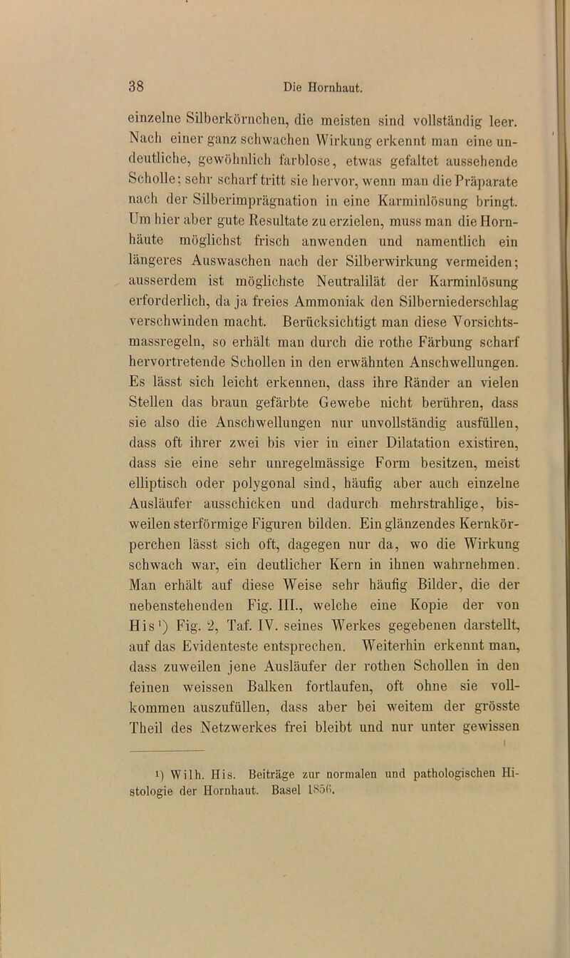 einzelne Silberkörnchen, die meisten sind vollständig leer. Nach einer ganz schwachen Wirkung erkennt man eine un- deutliche, gewöhnlich farblose, etwas gefaltet aussehende Scholle; sehr scharf tritt sie hervor, wenn man die Präparate nach der Silberimprägnation in eine Karminlösung bringt. Um hier aber gute Resultate zu erzielen, muss man die Horn- häute möglichst frisch anwenden und namentlich ein längeres Auswaschen nach der Silberwirkung vermeiden; ausserdem ist möglichste Neutralilät der Karminlösung erforderlich, da ja freies Ammoniak den Silbennederschlag verschwinden macht. Berücksichtigt man diese Vorsichts- massregeln, so erhält man durch die rothe Färbung scharf hervortretende Schollen in den erwähnten Anschwellungen. Es lässt sich leicht erkennen, dass ihre Ränder an vielen Stellen das braun gefärbte Gewebe nicht berühren, dass sie also die Anschwellungen nur unvollständig ausfüllen, dass oft ihrer zwei bis vier in einer Dilatation existiren, dass sie eine sehr unregelmässige Form besitzen, meist elliptisch oder polygonal sind, häufig aber auch einzelne Ausläufer ausschicken und dadurch mehrstrahlige, bis- weilen sterförmige Figuren bilden. Ein glänzendes Kernkör- perchen lässt sich oft, dagegen nur da, wo die Wirkung schwach war, ein deutlicher Kern in ihnen wahrnehmen. Man erhält auf diese Weise sehr häufig Bilder, die der nebenstehenden Fig. III., welche eine Kopie der von His') Fig. 2, Taf. IV. seines Werkes gegebenen darstellt, auf das Evidenteste entsprechen. Weiterhin erkennt man, dass zuweilen jene Ausläufer der rothen Schollen in den feinen weissen Balken fortlaufen, oft ohne sie voll- kommen auszufüllen, dass aber bei weitem der grösste Theil des Netzwerkes frei bleibt und nur unter gewissen i) Wilh. His. Beiträge zur normalen und pathologischen Hi- stologie der Hornhaut. Basel 185(1,