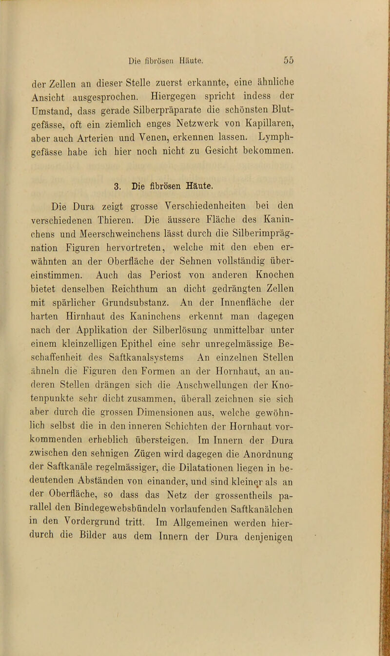 dev Zellen an dieser Stelle zuerst erkannte, eine ähnliche Ansicht ausgesprochen. Hiergegen spricht indess der Umstand, dass gerade Silberpräparate die schönsten Blut- gefässe, oft ein ziemlich enges Netzwerk von Kapillaren, aber auch Arterien und Venen, erkennen lassen. Lymph- gefässe habe ich hier noch nicht zu Gesicht bekommen. 3. Die fibrösen Häute. Die Dura zeigt grosse Verschiedenheiten bei den verschiedenen Thieren. Die äussere Fläche des Kanin- chens und Meerschweinchens lässt durch die Silberimpräg- nation Figuren hervortreten, welche mit den eben er- wähnten an der Oberfläche der Sehnen vollständig über- einstimmen. Auch das Periost von anderen Knochen bietet denselben Reichthum an dicht gedrängten Zellen mit spärlicher Grundsubstanz. An der Innenfläche der harten Hirnhaut des Kaninchens erkennt man dagegen nach der Applikation der Silberlösung unmittelbar unter einem kleinzelligen Epithel eine sehr unregelmässige Be- schaffenheit des Saftkanalsystems An einzelnen Stellen ähneln die Figuren den Formen an der Hornhaut, an an- deren Stellen drängen sich die Anschwellungen der Kno- tenpunkte sehr dicht zusammen, überall zeichnen sie sich aber durch die grossen Dimensionen aus, welche gewöhn- lich selbst die in den inneren Schichten der Hornhaut vor- kommenden erheblich übersteigen. Im Innern der Dura zwischen den sehnigen Zügen wird dagegen die Anordnung der Saftkanäle regelmässiger, die Dilatationen liegen in be- deutenden Abständen von einander, und sind kleiner als an der Oberfläche, so dass das Netz der grossentheils pa- rallel den Bindegewebsbiindeln vorlaufenden Saftkanälchen in den Vordergrund tritt. Im Allgemeinen werden hier- durch die Bilder aus dem Innern der Dura denjenigen