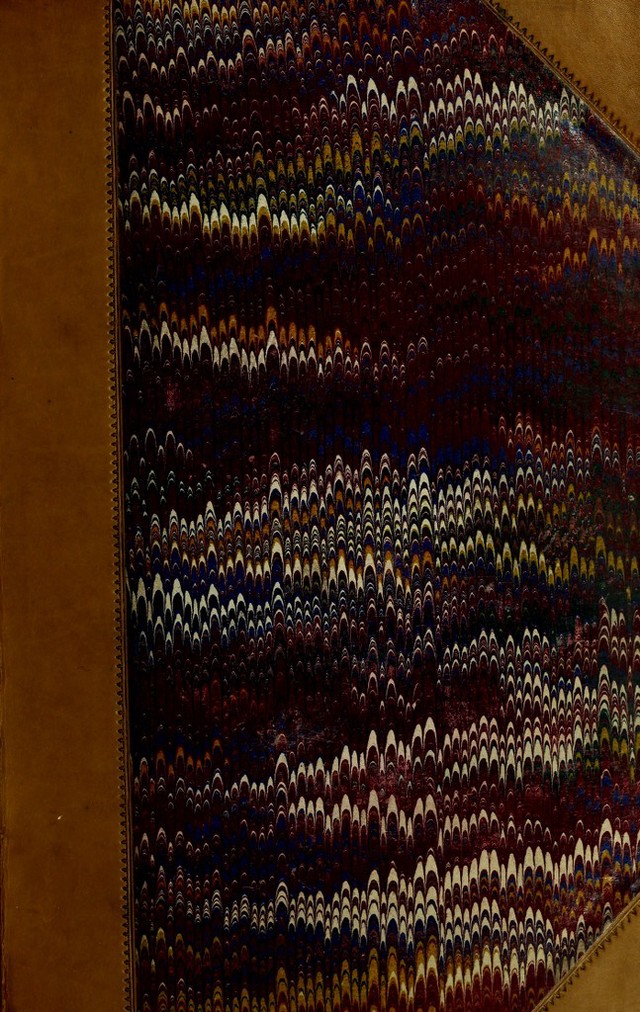 No text description is available for this image