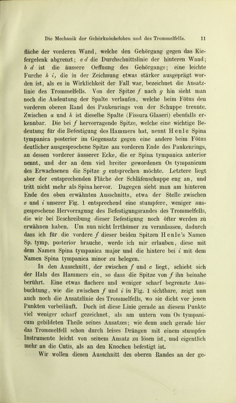 fläche der vorderen Wand, welche den Gehörgang gegen das Kie- fergelenk abgrenzt; cd die Durchschnittslinie der hinteren Wand; b d ist die äussere Oeffhung des Gehörgangs; eine leichte Furche h i, die in der Zeichnung etwas stärker ausgeprägt wor- den ist, als es in Wirklichkeit der Fall war, bezeichnet die Ansatz- linie des Trommelfells. Von der Spitze / nach g hin sieht man noch die Andeutung der Spalte verlaufen, welche beim Fötus den vorderen oberen Rand des Paukenrings von der Schuppe trennte. Zwischen a und h ist dieselbe Spalte (Fissura Glasen) ebenfalls er- kennbar. Die bei / hervorragende Spitze, welche eine wichtige Be- deutung für die Befestigung des Hammers hat, nennt Henle Spina tympanica posterior im Gegensatz gegen eine andere beim Fötus deutlicher ausgesprochene Spitze am vorderen Ende des Paukenrings, an dessen vorderer äusserer Ecke, die er Spina tympanica anterior nennt, und der an dem viel breiter gewordenen Os tympanicum des Erwachsenen die Spitze g entsprechen möchte. Letztere liegt aber der entsprechenden Fläche der Schläfenschuppe eng an, und tritt nicht mehr als Spina hervor. Dagegen sieht man am hinteren Ende des oben erwähnten Ausschnitts, etwa der Stelle zwischen c und % unserer Fig. 1 entsprechend eine stumpfere, weniger aus- gesprochene Hervorragung des Befestigungsrandes des Trommelfells, die wir bei Beschreibung dieser Befestigung noch öfter werden zu erwähnen haben. Um nun nicht Irrthüiner zu veranlassen, dadurch dass ich für die vordere / dieser beiden Spitzen He nie's Namen Sp. tymp. posterior brauche, werde ich mir erlauben, diese mit dem Namen Spina tympanica major und die hintere bei 4 mit dem Namen Spina tympanica minor zu belegen. In den Ausschnitt, der zwischen / und c liegt, schiebt sich der Hals des Hammers ein, so dass die Spitze von / ihn beinahe berührt. Eine etwas flachere und weniger scharf begrenzte Aus- buchtung, wie die zwischen / und % in Fig. 1 sichtbare, zeigt nun auch noch die Ansatzlinie des Trommelfells, wo sie dicht vor jenen Punkten vorbeiläuft. Doch ist diese Linie gerade an diesem Punkte viel weniger scharf gezeichnet, als am untern vom Os tympani- cum gebildeten Theile seines Ansatzes; wie denn auch gerade hier das Trommelfell schon durch leises Drängen mit einem stumpfen Instrumente leicht von seinem Ansatz zu lösen ist, und eigentlich mehr an die Cutis, als an den Knochen befestigt ist. Wir wollen diesen Ausschnitt des oberen Bandes an der ge-