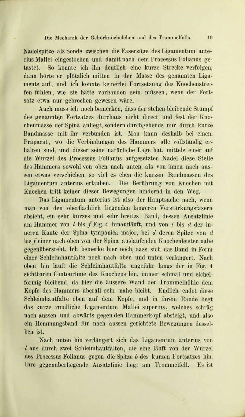 Nadelspitze als Sonde zwischen die Faserzüge des Ligamentum ante- rius Mallei eingestochen und damit nach dem Processus Folianus ge- tastet. So konnte ich ihn deutlich eine kurze Strecke verfolgen, dann hörte er plötzlich mitten in der Masse des genannten Liga- ments auf, und ich konnte keinerlei Fortsetzung des Knochenstrei- fen fühlen, wie sie hätte vorhanden sein müssen, wenn der Fort- satz etwa nur gebrochen gewesen wäre. Auch muss ich noch bemerken, dass der stehen bleibende Stumpf des genannten Fortsatzes durchaus nicht direct und fest der Kno- chenmasse der Spina anliegt, sondern durchgehends nur durch kurze Bandmasse mit ihr verbunden ist. Man kann deshalb bei einem Präparat, wo die Verbindungen des Hammers alle vollständig er- halten sind, und dieser seine natürliche Lage hat, mittels einer auf die Wurzel des Processus Folianus aufgesetzten Nadel diese Stelle des Hammers sowohl von oben nach unten, als von innen nach aus- sen etwas verschieben, so viel es eben die kurzen Bandmassen des Ligamentum anterius erlauben. Die Berührung von Knochen mit Knochen tritt keiner dieser Bewegungen hindernd in den Weg. Das Ligamentum anterius ist also der Hauptsache nach, wenn man von den oberflächlich liegenden längeren Verstärkungsfasern absieht, ein sehr kurzes und sehr breites Band, dessen Ansatzlinie am Hammer von / bis / Fig. 4 hinaufläuft, und von l bis d der in- neren Kante der Spina tympanica major, bei d deren Spitze von d bis /einer nach oben von der Spina auslaufenden Knochenleisten nahe gegenübersteht. Ich bemerke hier noch, dass sich das Band in Form einer Schleimhautfalte noch nach oben und unten verlängert. Nach oben hin läuft die Schleimhautfalte ungefähr längs der in Fig. 4 sichtbaren Contourlinie des Knochens hin, immer schmal und sichel- förmig bleibend, da hier die äussere Wand der Trommelhöhle dem Kopfe des Hammers überall sehr nahe bleibt. Endlich endet diese Schleimhautfalte oben auf dem Kopfe, und in ihrem Rande liegt das kurze rundliche Ligamentum Mallei superius, welches schräg nach aussen und abwärts gegen den Hammerkopf absteigt, und also ein Hemmungsband für nach aussen gerichtete Bewegungen dessel- ben ist. Nach unten hin verlängert sich das Ligamentum anterius von l aus durch zwei Schleimhautfalten, die eine läuft von der Wurzel des Processus Folianus gegen die Spitze b des kurzen Fortsatzes hin. Ihre gegenüberliegende Ansatzlinie liegt am Trommelfell. Es ist