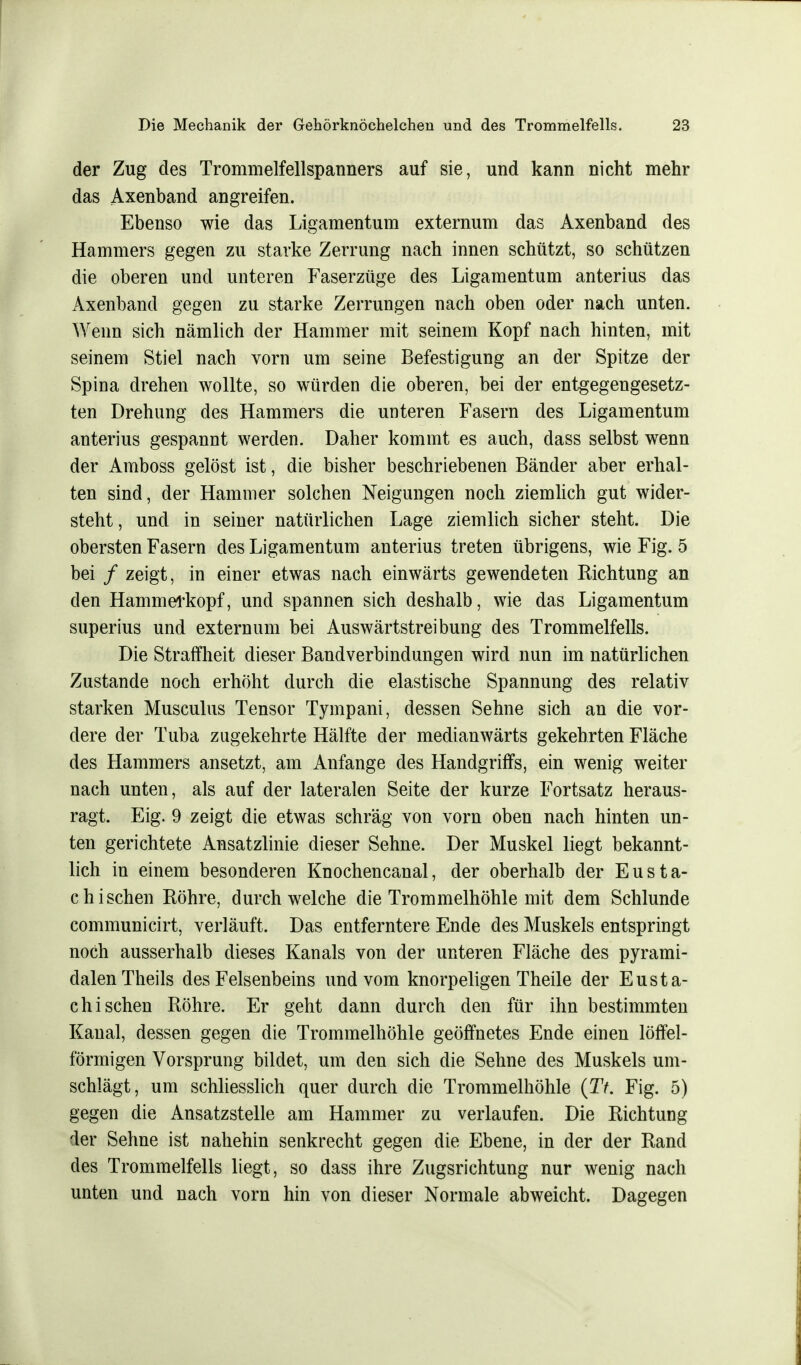 der Zug des Trommelfellspanners auf sie, und kann nicht mehr das Axenband angreifen. Ebenso wie das Ligamentum externum das Axenband des Hammers gegen zu starke Zerrung nach innen schützt, so schützen die oberen und unteren Faserzüge des Ligamentum anterius das Axenband gegen zu starke Zerrungen nach oben oder nach unten. Wenn sich nämlich der Hammer mit seinem Kopf nach hinten, mit seinem Stiel nach vorn um seine Befestigung an der Spitze der Spina drehen wollte, so würden die oberen, bei der entgegengesetz- ten Drehung des Hammers die unteren Fasern des Ligamentum anterius gespannt werden. Daher kommt es auch, dass selbst wenn der Amboss gelöst ist, die bisher beschriebenen Bänder aber erhal- ten sind, der Hammer solchen Neigungen noch ziemlich gut wider- steht , und in seiner natürlichen Lage ziemlich sicher steht. Die obersten Fasern des Ligamentum anterius treten übrigens, wie Fig. 5 bei / zeigt, in einer etwas nach einwärts gewendeten Richtung an den Hammerkopf, und spannen sich deshalb, wie das Ligamentum superius und externum bei Auswärtstreibung des Trommelfells. Die Straffheit dieser Bandverbindungen wird nun im natürlichen Zustande noch erhöht durch die elastische Spannung des relativ starken Musculus Tensor Tympani, dessen Sehne sich an die vor- dere der Tuba zugekehrte Hälfte der medianwärts gekehrten Fläche des Hammers ansetzt, am Anfange des Handgriffs, ein wenig weiter nach unten, als auf der lateralen Seite der kurze Fortsatz heraus- ragt. Eig. 9 zeigt die etwas schräg von vorn oben nach hinten un- ten gerichtete Ansatzlinie dieser Sehne. Der Muskel liegt bekannt- lich in einem besonderen Knochencanal, der oberhalb der Eusta- chischen Röhre, durchweiche die Trommelhöhle mit dem Schlünde communicirt, verläuft. Das entferntere Ende des Muskels entspringt noch ausserhalb dieses Kanals von der unteren Fläche des pyrami- dalen Theils des Felsenbeins und vom knorpeligen Theile der Eusta- chischen Röhre. Er geht dann durch den für ihn bestimmten Kanal, dessen gegen die Trommelhöhle geöffnetes Ende einen löffei- förmigen Vorsprung bildet, um den sich die Sehne des Muskels um- schlägt, um schliesslich quer durch die Trommelhöhle (27. Fig. 5) gegen die Ansatzstelle am Hammer zu verlaufen. Die Richtung der Sehne ist nahehin senkrecht gegen die Ebene, in der der Rand des Trommelfells liegt, so dass ihre Zugsrichtung nur wenig nach unten und nach vorn hin von dieser Normale abweicht. Dagegen