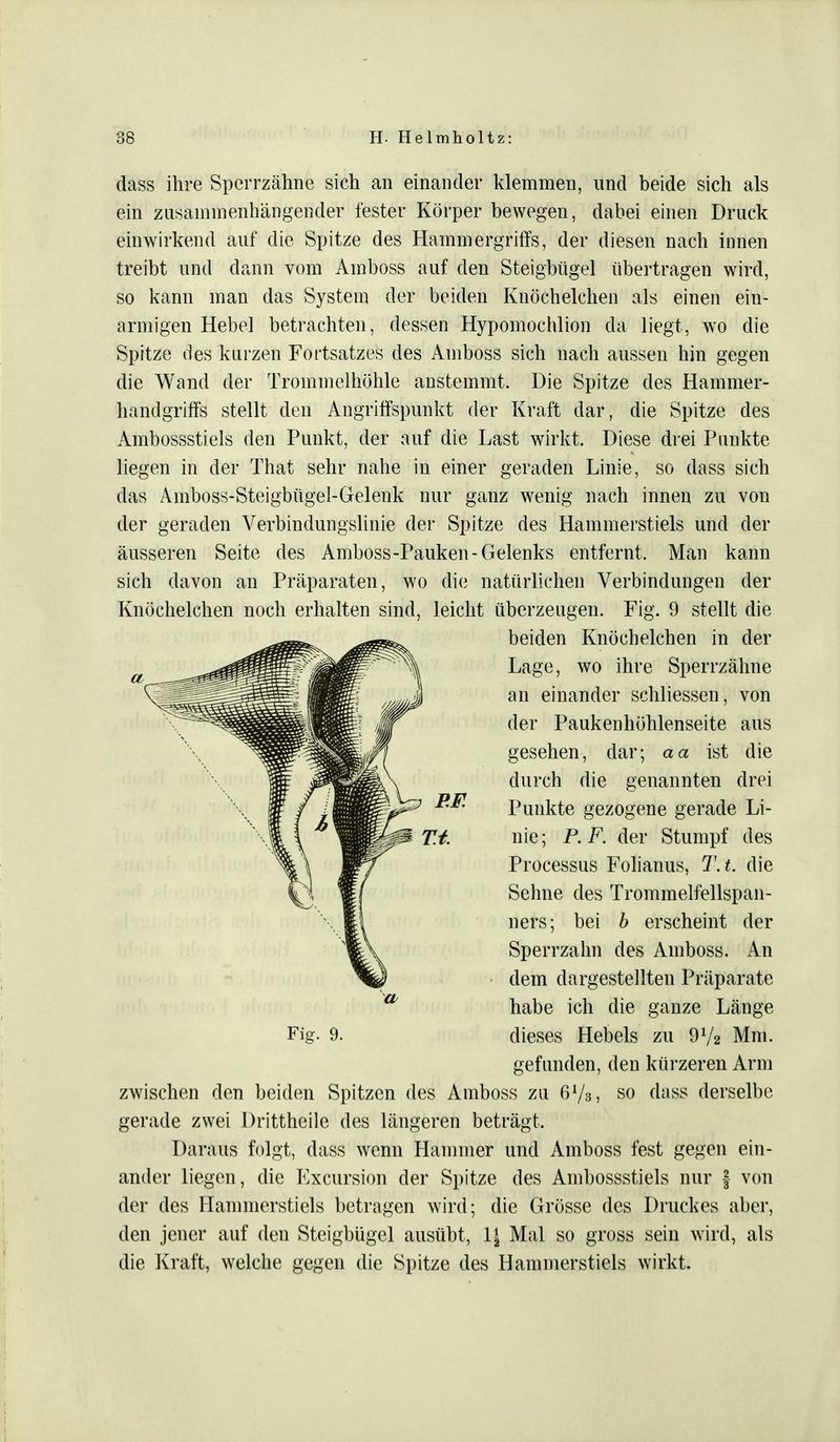 dass ihre Sperrzähne sich an einander klemmen, und beide sich als ein zusammenhängender fester Körper bewegen, dabei einen Druck einwirkend auf die Spitze des Hammergriffs, der diesen nach innen treibt und dann vom Amboss auf den Steigbügel übertragen wird, so kann man das System der beiden Knöchelchen als einen ein- armigen Hebel betrachten, dessen Hypomochlion da liegt, wo die Spitze des kurzen Fortsatzes des Amboss sich nach aussen hin gegen die Wand der Trommelhöhle anstemmt. Die Spitze des Hammer- handgriffs stellt den Angriffspunkt der Kraft dar, die Spitze des Ambossstiels den Punkt, der auf die Last wirkt. Diese drei Punkte liegen in der That sehr nahe in einer geraden Linie, so dass sich das Amboss-Steigbügel-Gelenk nur ganz wenig nach innen zu von der geraden Verbindungslinie der Spitze des Hammerstiels und der äusseren Seite des Amboss-Pauken-Gelenks entfernt. Man kann sich davon an Präparaten, wo die natürlichen Verbindungen der Knöchelchen noch erhalten sind, leicht überzeugen. Fig. 9 stellt die beiden Knöchelchen in der Lage, wo ihre Sperrzähne an einander schliessen, von der Paukenhöhlenseite aus gesehen, dar; aa ist die durch die genannten drei Punkte gezogene gerade Li- nie; P.F. der Stumpf des Processus Folianus, T.t. die Sehne des Trommelfellspan- ners; bei b erscheint der Sperrzahn des Amboss. An dem dargestellten Präparate habe ich die ganze Länge Fig. 9. dieses Hebels zu 9V2 Mm. gefunden, den kürzeren Arm zwischen den beiden Spitzen des Amboss zu 6V3, so dass derselbe gerade zwei Drittheile des längeren beträgt. Daraus folgt, dass wenn Hammer und Amboss fest gegen ein- ander liegen, die Excursion der Spitze des Ambossstiels nur f von der des Hammerstiels betragen wird; die Grösse des Druckes aber, den jener auf den Steigbügel ausübt, lj Mal so gross sein wird, als die Kraft, welche gegen die Spitze des Hammerstiels wirkt.