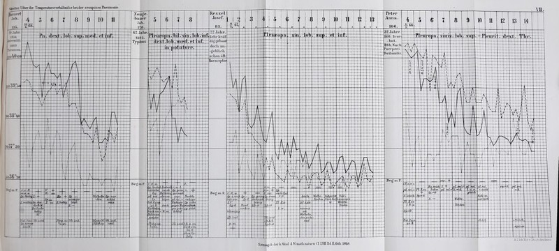 ^•nrr.l'ibrrdie Temperatnrsvwhältiiü'sebeider eroapcisen Pneumonie Sitzaigsb derkAkai d.Wmiith.iiaturwClLVIIIBiIEAbtli.1868