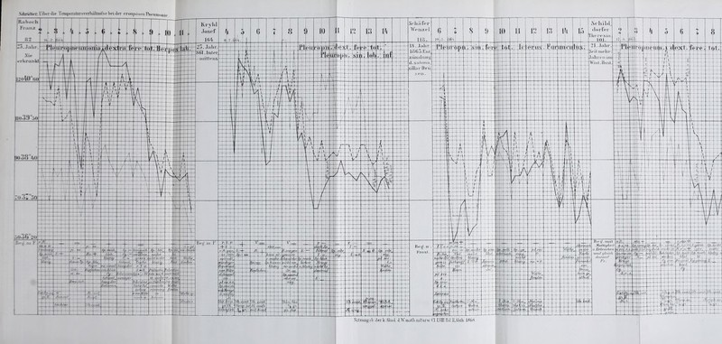 Schnitter. ViWnlie TenipexatnrsvwMlüüTse bei der eronpdsen Pneumonie E&aboch I Franz i; l II) 1 11 Kryhl Josef 10 13 Schäfer Wenzel Ii: 11 VA dorfer Theresia -3.Jahr Xie »rkrankt FlpjuFöpneuii !o40° tot 23. Jahr 861.Intel rmttens e Li O) !i tot 18. Jahr. 1863.Etu- zünctimg a.s aa, hullar-Drü ■4- Zl.Jahr Seil mehr IM Ä •nn< * iloxl. IVr«.. lof. 4 uo39°5o ——K 90o8°40r h.1 rA i :o3I'oo r Ä \l ■io3fi2o JW.iu.F >t/.'-F Beg.m.F „ri.-.-. Frost. Jt'Jl. öeg. mit M„tlt;ll;<-ii j,„j, Sitziuio.sl, ,lerk.\kad ,1 W'im.tlumtiirw: CI UH1 B.l IUI.tli J8ÜX