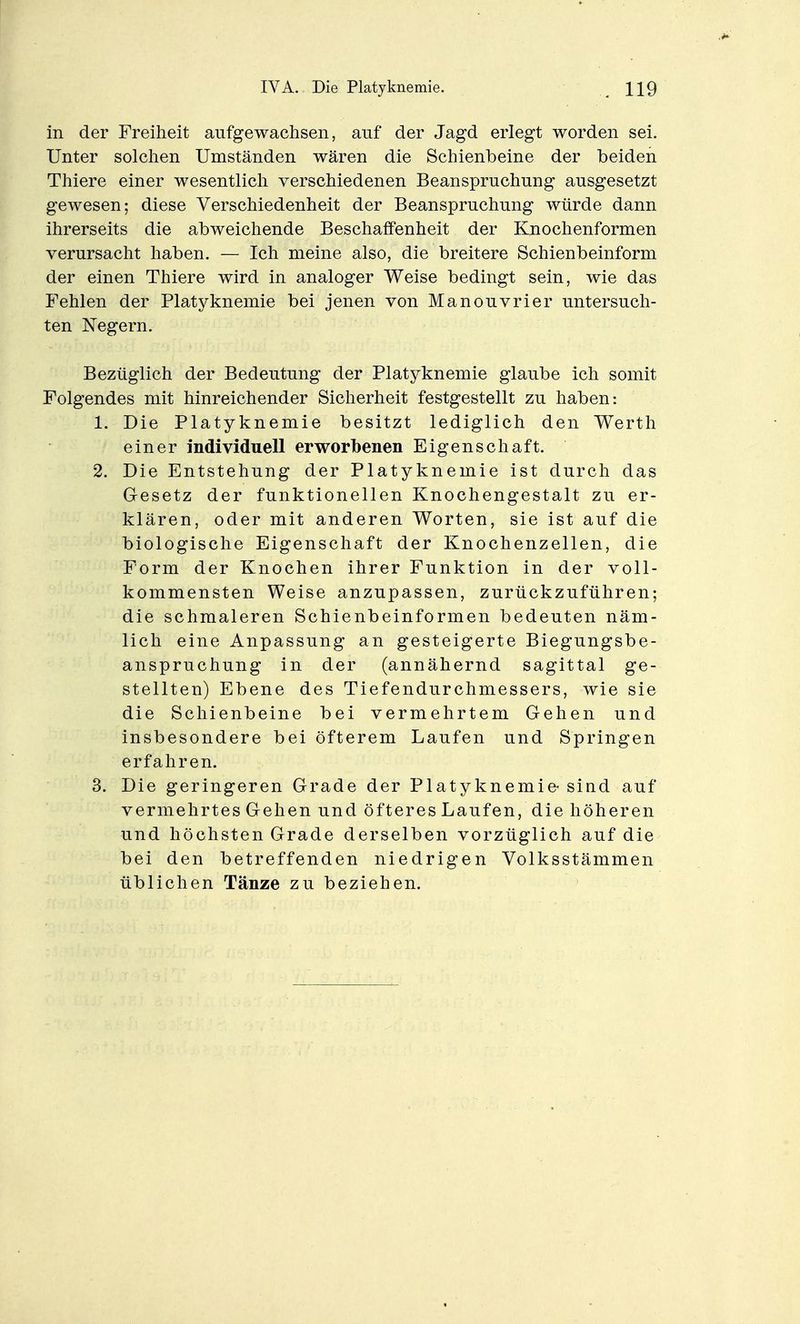 in der Freiheit aufgewachsen, auf der Jagd erlegt worden sei. Unter solchen Umständen wären die Schienbeine der beiden Thiere einer wesentlich verschiedenen Beanspruchung ausgesetzt gewesen; diese Verschiedenheit der Beanspruchung würde dann ihrerseits die abweichende Beschaffenheit der Knochenformen verursacht haben. — Ich meine also, die breitere Schienbeinform der einen Thiere wird in analoger Weise bedingt sein, wie das Fehlen der Platyknemie bei jenen von Manouvrier untersuch- ten Negern. Bezüglich der Bedeutung der Platyknemie glaube ich somit Folgendes mit hinreichender Sicherheit festgestellt zu haben: 1. Die Platyknemie besitzt lediglich den Werth einer individuell erworbenen Eigenschaft. 2. Die Entstehung der Platyknemie ist durch das Gesetz der funktionellen Knochengestalt zu er- klären, oder mit anderen Worten, sie ist auf die biologische Eigenschaft der Knochenzellen, die Form der Knochen ihrer Funktion in der voll- kommensten Weise anzupassen, zurückzuführen; die schmaleren Schienbeinformen bedeuten näm- lich eine Anpassung an gesteigerte Biegungsbe- anspruchung in der (annähernd sagittal ge- stellten) Ebene des Tiefendurchmessers, wie sie die Schienbeine bei vermehrtem Gehen und insbesondere bei öfterem Laufen und Springen erfahren. 3. Die geringeren Grade der Platyknemie- sind auf vermehrtes Gehen und öfteres Laufen, die höheren und höchsten Grade derselben vorzüglich auf die bei den betreffenden niedrigen Volksstämmen üblichen Tänze zu beziehen.