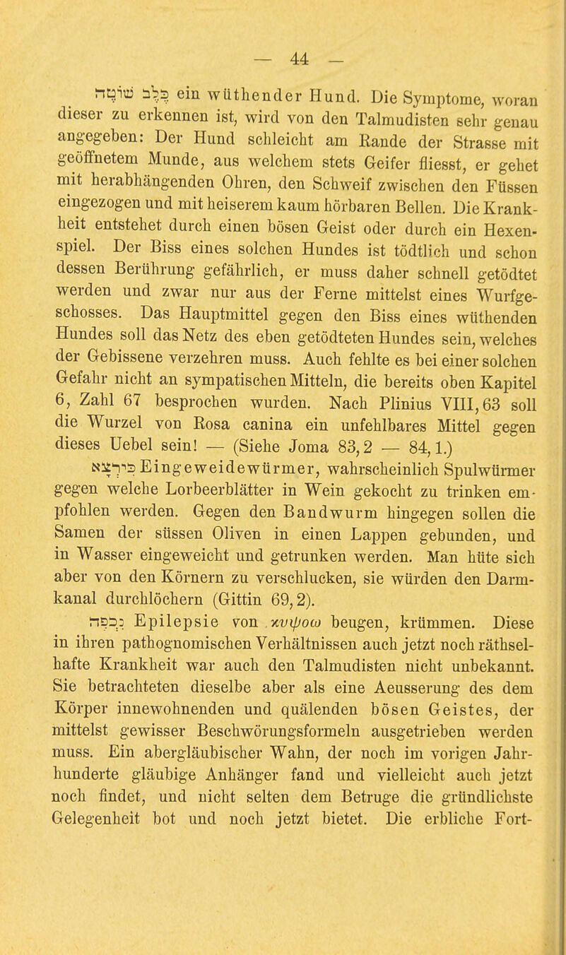 ^^w rib3 ein wüthender Hund. Die Symptome, woran dieser zu erkennen ist, wird von den Talmudisten sehr genau angegeben: Der Hund schleicht am Rande der Strasse mit geöffnetem Munde, aus welchem stets Geifer fliesst, er gehet mit herabhängenden Ohren, den Schweif zwischen den Füssen eingezogen und mit heiserem kaum hörbaren Bellen. Die Krank- heit entstehet durch einen bösen Geist oder durch ein Hexen- spiel. Der Biss eines solchen Hundes ist tödtlich und schon dessen Berührung gefährlich, er muss daher schnell getödtet werden und zwar nur aus der Ferne mittelst eines Wurfge- schosses. Das Hauptmittel gegen den Biss eines wtithenden Hundes soll das Netz des eben getödteten Hundes sein, welches der Gebissene verzehren muss. Auch fehlte es bei einer solchen Gefahr nicht an sympatischen Mitteln, die bereits oben Kapitel 6, Zahl 67 besprochen wurden. Nach Plinius Vni,63 soll die Wurzel von Rosa canina ein unfehlbares Mittel gegen dieses Uebel sein! — (Siehe Joma 83,2 — 84,1.) Nit'i-isEingeweidewürmer, wahrscheinlich Spulwürmer gegen welche Lorbeerblätter in Wein gekocht zu trinken em- pfohlen werden. Gegen den Bandwurm hingegen sollen die Samen der süssen Oliven in einen Lappen gebunden, und in Wasser eingeweicht und getrunken werden. Man hüte sich aber von den Körnern zu verschlucken, sie würden den Darm- kanal durchlöchern (Gittin 69,2). Epilepsie von. Tcvipoto beugen, krümmen. Diese in ihren pathognomischen Verhältnissen auch jetzt noch räthsel- hafte Krankheit war auch den Talmudisten nicht unbekannt. Sie betrachteten dieselbe aber als eine Aeusserung des dem Körper innewohnenden und quälenden bösen Geistes, der mittelst gewisser Beschwörungsformeln ausgetrieben werden muss. Ein abergläubischer Wahn, der noch im vorigen Jahr- hunderte gläubige Anhänger fand und vielleicht auch jetzt noch findet, und nicht selten dem Betrüge die gründlichste Gelegenheit bot und noch jetzt bietet. Die erbliche Fort-