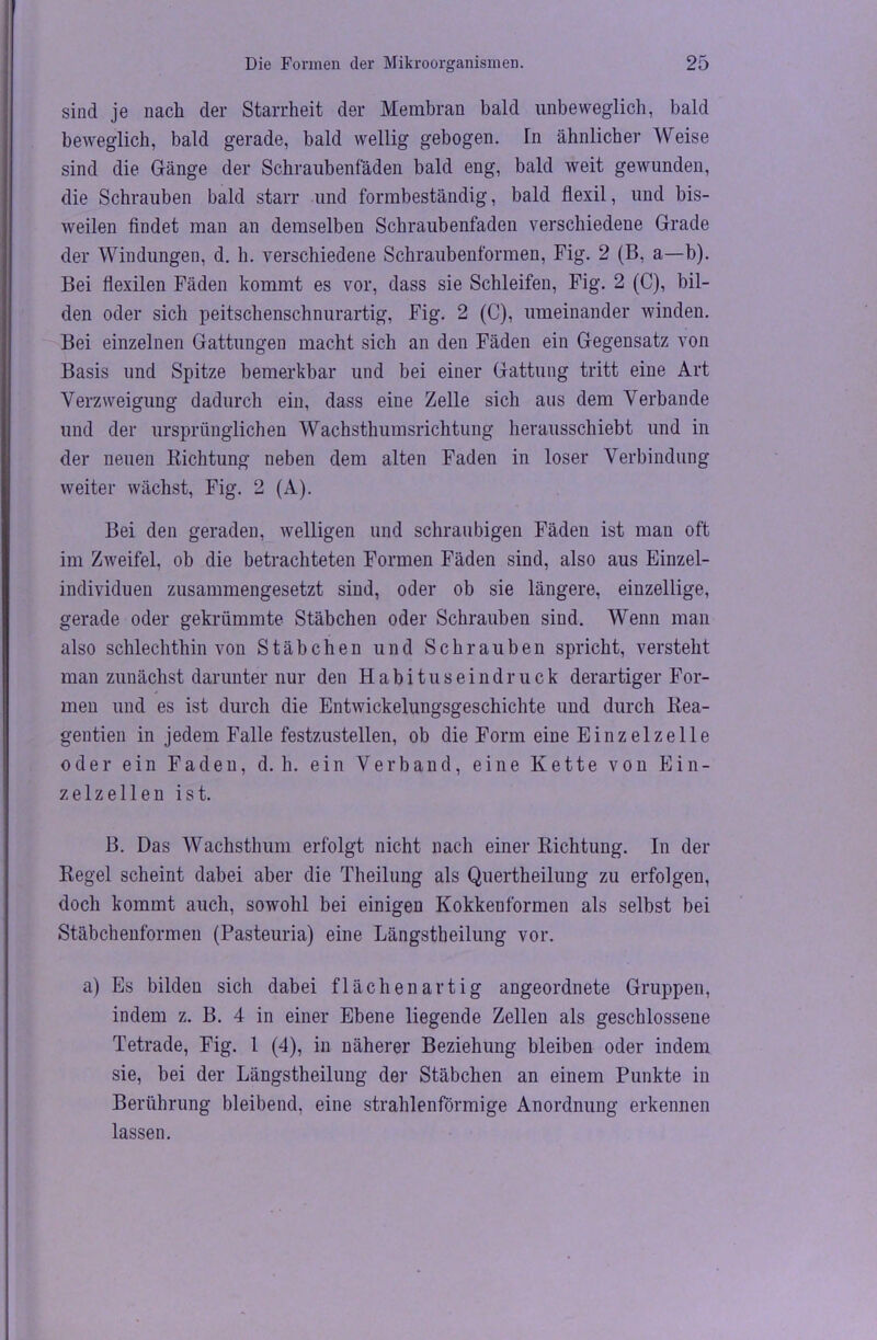 sind je nach der Starrheit der Membran bald unbeweglich, bald beweglich, bald gerade, bald wellig gebogen. Tn ähnlicher Weise sind die Gänge der Schraubenfäden bald eng, bald weit gewunden, die Schrauben bald starr und formbeständig, bald flexil, und bis- weilen findet man an demselben Schraubenfaden verschiedene Grade der Windungen, d. h. verschiedene Schraubenformen, Fig. 2 (B, a—b). Bei flexilen Fäden kommt es vor, dass sie Schleifen, Fig. 2 (C), bil- den oder sich peitschenschnurartig, Fig. 2 (C), umeinander winden. Bei einzelnen Gattungen macht sich an den Fäden ein Gegensatz von Basis und Spitze bemerkbar und bei einer Gattung tritt eine Art Verzweigung dadurch ein, dass eine Zelle sich aus dem Verbände und der ursprünglichen Wachsthumsrichtung herausschiebt und in der neuen Richtung neben dem alten Faden in loser Verbindung- weiter wächst, Fig. 2 (A). Bei den geraden, welligen und schraubigen Fäden ist man oft im Zweifel, ob die betrachteten Formen Fäden sind, also aus Einzel- individuen zusammengesetzt sind, oder ob sie längere, einzellige, gerade oder gekrümmte Stäbchen oder Schrauben sind. Wenn man also schlechthin von Stäbchen und Schrauben spricht, versteht man zunächst darunter nur den Habituseindruck derartiger For- men und es ist durch die Entwickelungsgeschichte und durch Rea- gentien in jedem Falle festzustellen, ob die Form eine Einzelzelle oder ein Faden, d. h. ein Verband, eine Kette von Ein- zelzellen ist. B. Das Wachsthum erfolgt nicht nach einer Richtung. In der Regel scheint dabei aber die Theilung als Quertheilung zu erfolgen, doch kommt auch, sowohl bei einigen Kokkenformen als selbst bei Stäbchenformen (Pasteuria) eine Längstheilung vor. a) Es bilden sich dabei flächenartig angeordnete Gruppen, indem z. B. 4 in einer Ebene liegende Zellen als geschlossene Tetrade, Fig. I (4), in näherer Beziehung bleiben oder indem sie, bei der Längstheilung der Stäbchen an einem Punkte in Berührung bleibend, eine strahlenförmige Anordnung erkennen lassen.
