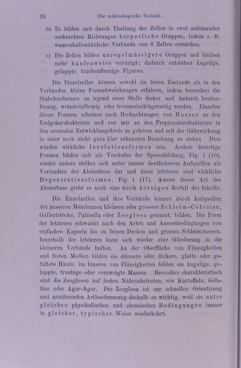 b) Es bilden sich durch Theilung der Zellen in zwei aufeinander senkrechten Richtungen körperliche Gruppen, indem z. B. waarenb allen ähnliche Verbände von 8 Zellen entstehen. c) Die Zellen bilden unregelmässigere Gruppen und bleiben mehr haufenweise vereinigt; dadurch entstehen kugelige, gelappte, traubenförmige Figuren. Die Einzelzellen können sowohl im freien Zustande als in deu Verbänden kleine Formabweichungen erfahren, indem besonders die Stäbchenformen an irgend einer Stelle dicker und dadurch keulen- förmig, wetzsteinförmig oder trommelschlägerartig werden. Einzelne dieser Formen scheinen nach Beobachtungen von Hansen an den Essigsäurebakterien und von mir an den Propionsäurebakterien in den normalen Entwicklungskreis zu gehören und mit der Gährwirkung in einer noch nicht ganz klar erkannten Beziehung zu stehen Dies würden wirkliche Involutionsformen sein. Andere derartige Formen bilden sich als Vorstufen der Sporenbildung, Fig. 1 (10), wieder andere stellen sich unter immer deutlicherem Aufquellen als Vorstadien des Absterbens dar und diese letzteren sind wirkliche Degenerationsformen, Fig. 1 (17). Ausser dieser Art des Absterbens giebt es noch eine durch körnigen Zerfall des Inhalts. Die Einzelzellen und ihre Verbände können durch Aufquellen der äusseren Membranen kleinere oder grössere Schleim- Colonien, Gallertstöcke, Palmelia oder Zoogloea genannt, bilden. Die Form der letzteren schwankt nach den Arten und Aussenbedingungen von einfachen Kapseln bis zu feinen Decken und grossen Schleimmassen. Innerhalb der letzteren kann sich wieder eine Gliederung in die kleineren Verbände halten. An der Oberfläche von Flüssigkeiten und festen Medien bilden sie dünnere oder dickere, glatte oder ge- faltete Häute, im Inneren von Flüssigkeiten bilden sie kugelige, ge- lappte, traubige oder verzweigte Massen. Besonders charakteristisch sind die Zoogloeen auf festen Nährsubstraten, wie Kartoffeln, Gela- tine oder Agar-Agar. Die Zoogloea ist zur schnellen Orientirung und annähernden Artbestimmung deshalb so wichtig, weil sie unter gleichen physikalischen und chemischen Bedingungen immer in gleicher, typischer Weise wiederkehrt.