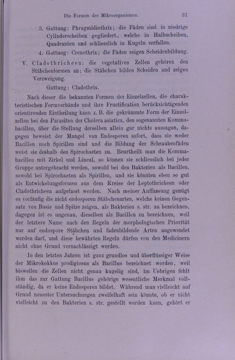 3. Gattung: Phragmidiothrix; die Fäden sind in niedrige Cylinderscheiben gegliedert, welche in Halbscheiben, Quadranten und schliesslich in Kugeln zerfallen. 4. Gattung: Crenothrix; die Fäden zeigen Scheidenbildung. V. Cladoth rieh een: die vegetativen Zellen gehören den Stäbchenformen an: die Stäbchen bilden Scheiden und zeigen Verzweigung. Gattung: Cladothrix. Nach dieser die bekannten Formen der Einzelzellen, die charak- teristischen Form verbände und ihre Fructification berücksichtigenden orientirenden Eintheilung kann z. B. die gekrümmte Form der Einzel- zellen bei den Parasiten der Cholera asiatica, den sogenannten Komma- bacillen, über die Stellung derselben allein gar nichts aussagen, da- gegen beweist der Mangel von Endosporen sofort, dass sie weder Bacillen noch Spirillen sind und die Bildung der Schraubenfäden weist sie deshalb den Spirochaeten zu. Beurtheilt man die Komma- bacillen mit Zirkel und Lineal, so können sie schliesslich bei jeder Gruppe untergebracht werden, sowohl bei den Bakterien als Bacillen, sowohl bei Spirochaeten als Spirillen, und sie könnten eben so gut als Entwickelungsformen aus dem Kreise der Leptothricheen oder Cladothricheen aufgefasst werden. Nach meiner Auffassung genügt es vorläufig die nicht endosporen Stäbchenarten, welche keinen Gegen- satz von Basis und Spitze zeigen, als Bakterien s. str. zu bezeichnen, dagegen ist es ungenau, dieselben als Bacillen zu bezeichnen, weil der letztere Name nach den Kegeln der morphologischen Priorität nur auf endospore Stäbchen und fadenbildende Arten angewendet werden darf, und diese bewährten Regeln dürfen von den Medicinern nicht ohne Grund vernachlässigt werden. ln den letzten Jahren ist ganz grundlos und überflüssiger Weise der Mikrokokkus prodigiosus als Bacillus bezeichnet worden, weil bisweilen die Zellen nicht genau kugelig sind, im Uebrigen fehlt ihm das zur Gattung Bacillus gehörige wesentliche Merkmal voll- ständig, da er keine Endosporen bildet. Während man vielleicht auf Grund neuester Untersuchungen zweifelhaft sein könnte, ob er nicht vielleicht zu den Bakterien s. str. gestellt werden kann, gehört er
