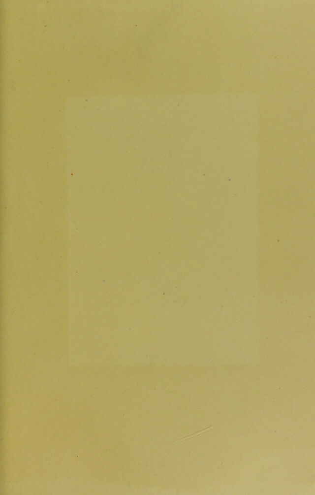 digitised image 3
