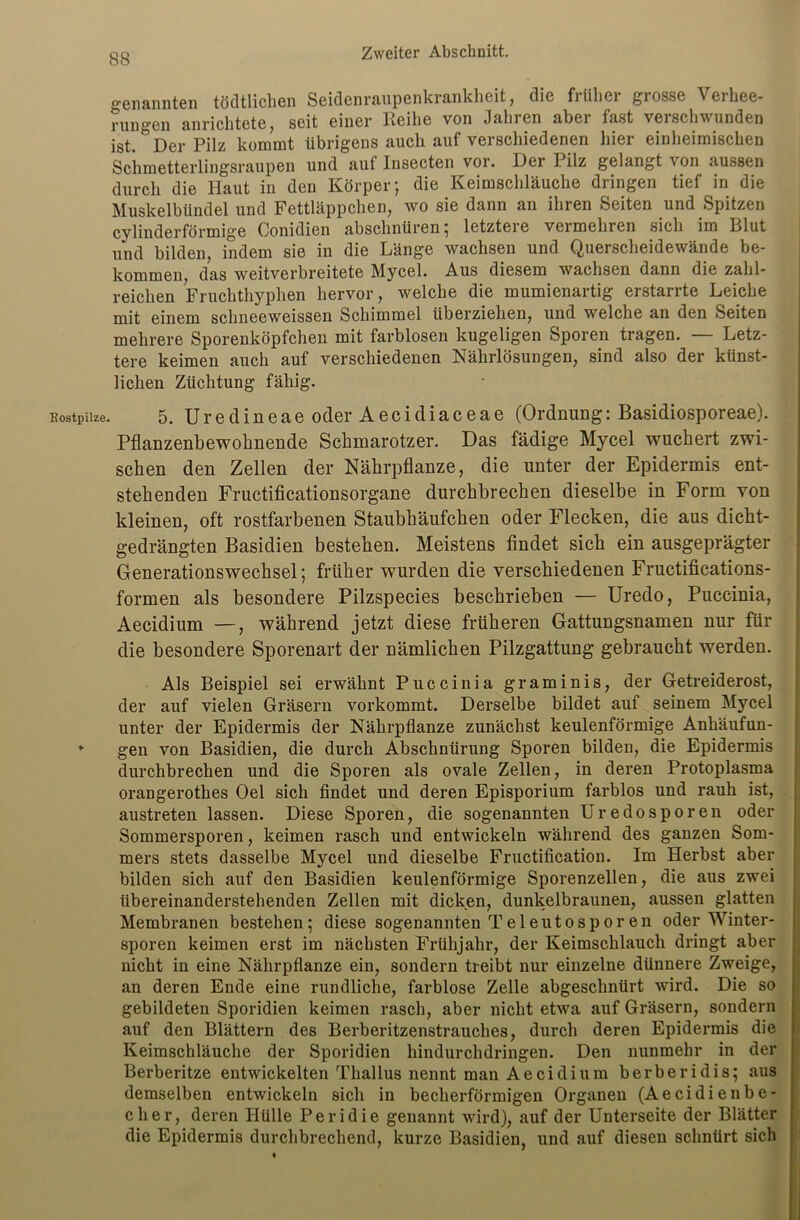 genannten tödtlichen Seidenraupenkrankheit, die früher grosse Verhee- rungen anrichtete, seit einer Reihe von Jahren aber fast verschwunden ist. Ö Der Pilz kommt übrigens auch auf verschiedenen hier einheimischen Schmetterlingsraupen und auf Insecten vor. Der Pilz gelangt von aussen durch die Haut in den Körper; die Keimschläuche dringen tief in die Muskelbündel und Fettläppchen, wo sie dann an ihren Seiten und Spitzen cylinderförmige Conidien abschnüren; letztere vermehren sich im Blut und bilden, indem sie in die Länge wachsen und Querscheidewände be- kommen, das weitverbreitete Mycel. Aus diesem wachsen dann die zahl- reichen Fruchthyphen hervor, welche die mumienartig erstarrte Leiche mit einem schneeweissen Schimmel überziehen, und welche an den Seiten mehrere Sporenköpfchen mit farblosen kugeligen Sporen tragen. — Letz- tere keimen auch auf verschiedenen Nährlösungen, sind also der künst- lichen Züchtung fähig. Rostpilze. 5. Uredineae oder Aecidiaceae (Ordnung: Basidiosporeae). Pflanzenbewohnende Schmarotzer. Das fädige Mycel wuchert zwi- schen den Zellen der Nährpflanze, die unter der Epidermis ent- stehenden Fructificationsorgane durchbrechen dieselbe in Form von kleinen, oft rostfarbenen Staubhäufchen oder Flecken, die aus dicht- gedrängten Basidien bestehen. Meistens findet sich ein ausgeprägter Generationswechsel; früher wurden die verschiedenen Fructifications- formen als besondere Pilzspecies beschrieben — Uredo, Puccinia, Aecidium —, während jetzt diese früheren Gattungsnamen nur für die besondere Sporenart der nämlichen Pilzgattung gebraucht werden. Als Beispiel sei erwähnt Puccinia graminis, der Getreiderost, der auf vielen Gräsern vorkommt. Derselbe bildet auf seinem Mycel unter der Epidermis der Nährpflanze zunächst keulenförmige Ankäufun- ♦ gen von Basidien, die durch Abschnürung Sporen bilden, die Epidermis durchbrechen und die Sporen als ovale Zellen, in deren Protoplasma orangerothes Oel sich findet und deren Episporium farblos und rauh ist, austreten lassen. Diese Sporen, die sogenannten Uredosporen oder Sommersporen, keimen rasch und entwickeln während des ganzen Som- mers stets dasselbe Mycel und dieselbe Fructification. Im Herbst aber bilden sich auf den Basidien keulenförmige Sporenzellen, die aus zwei übereinanderstehenden Zellen mit dicken, dunkelbraunen, aussen glatten Membranen bestehen; diese sogenannten Teleutosporen oder Winter- sporen keimen erst im nächsten Frühjahr, der Keimschlauch dringt aber nicht in eine Nährpflanze ein, sondern treibt nur einzelne dünnere Zweige, an deren Ende eine rundliche, farblose Zelle abgeschnürt wird. Die so gebildeten Sporidien keimen rasch, aber nicht etwa auf Gräsern, sondern auf den Blättern des Berberitzenstrauches, durch deren Epidermis die Keimschläuche der Sporidien hindurchdringen. Den nunmehr in der Berberitze entwickelten Thallus nennt man Aecidium berberidis; aus demselben entwickeln sich in becherförmigen Organen (Aecidienbe- cher, deren Hülle Peridie genannt wird), auf der Unterseite der Blätter die Epidermis durchbrechend, kurze Basidien, und auf diesen schnürt sich