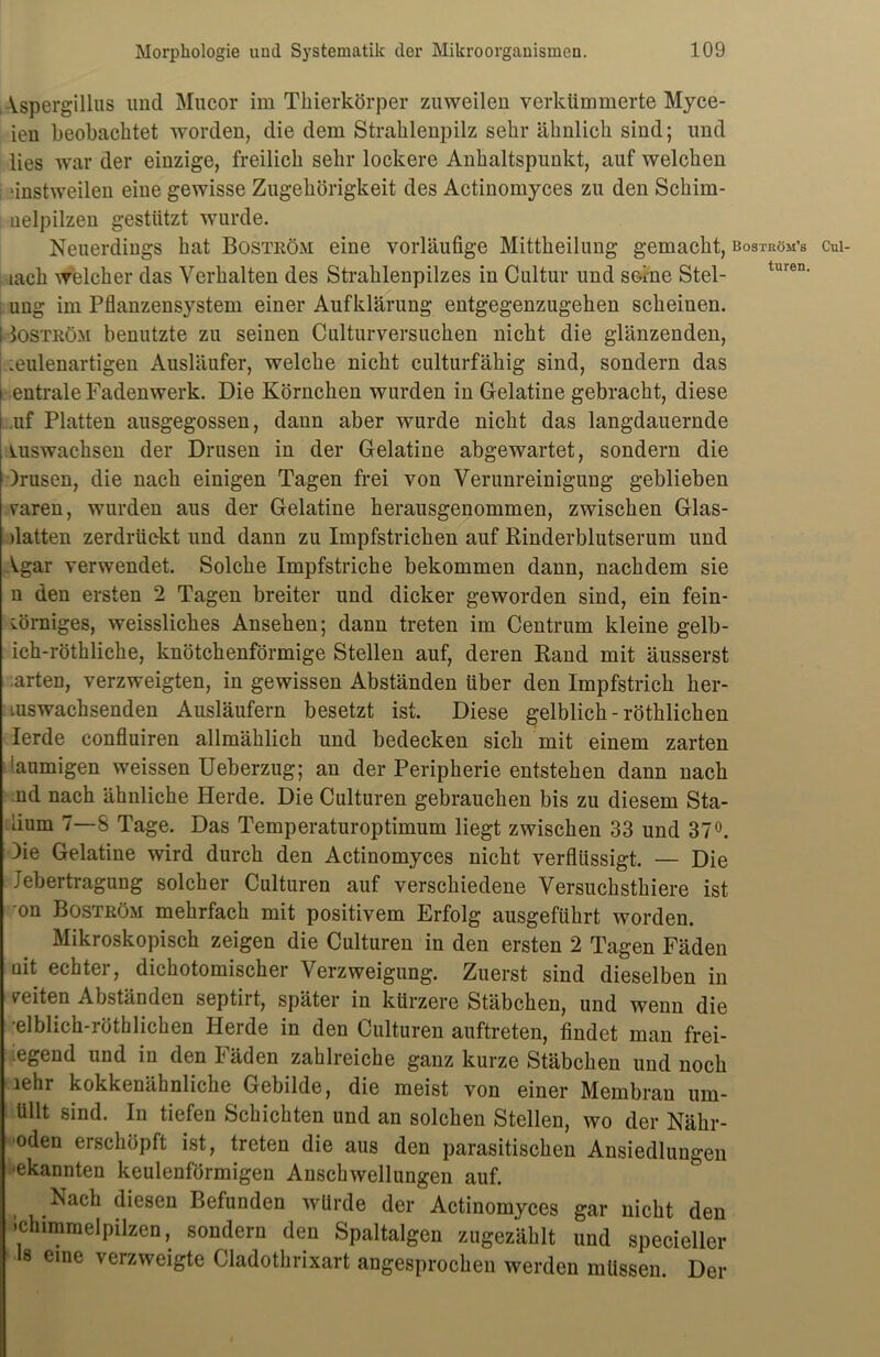 Aspergillus und Mucor im Thierkörper zuweilen verkümmerte Myce- ien beobachtet worden, die dem Strahlenpilz sehr ähnlich sind; und lies war der einzige, freilich sehr lockere Anhaltspunkt, auf welchen einstweilen eine gewisse Zugehörigkeit des Actinomyces zu den Schim- aelpilzen gestützt wurde. Neuerdings hat Bostköm eine vorläufige Mittheilung gemacht, boström’s ung im Pflanzensystem einer Aufklärung entgegenzugehen scheinen. 1 Ioström benutzte zu seinen Culturversuchen nicht die glänzenden, leulenartigen Ausläufer, welche nicht culturfähig sind, sondern das entrale Fadenwerk. Die Körnchen wurden in Gelatine gebracht, diese uf Platten ausgegossen, dann aber wurde nicht das langdauernde Auswachsen der Drusen in der Gelatine abgewartet, sondern die )rusen, die nach einigen Tagen frei von Verunreinigung geblieben raren, wurden aus der Gelatine herausgenommen, zwischen Glas- datten zerdrückt und dann zu Impfstrichen auf Rinderblutserum und Agar verwendet. Solche Impfstriche bekommen dann, nachdem sie n den ersten 2 Tagen breiter und dicker geworden sind, ein fein- körniges, weisslickes Ansehen; dann treten im Centrum kleine gelb- ich-röthliche, knötchenförmige Stellen auf, deren Rand mit äusserst arten, verzweigten, in gewissen Abständen über den Impfstrich her- tuswachsenden Ausläufern besetzt ist. Diese gelblich - röthlichen lerde confluiren allmählich und bedecken sich mit einem zarten ■aumigen weissen Ueberzug; an der Peripherie entstehen dann nach nd nach ähnliche Herde. Die Culturen gebrauchen bis zu diesem Sta- dium 7—8 Tage. Das Temperaturoptimum liegt zwischen 33 und 37°. )ie Gelatine wird durch den Actinomyces nicht verflüssigt. — Die Jebertragung solcher Culturen auf verschiedene Versuchsthiere ist -on Boström mehrfach mit positivem Erfolg ausgeführt worden. Mikroskopisch zeigen die Culturen in den ersten 2 Tagen Fäden nit echter, dichotomischer Verzweigung. Zuerst sind dieselben in vciten Abständen septiit, später in kürzere Stäbchen, und wenn die •elblich-röthlichen Herde in den Culturen auftreten, findet man frei- egend und in den Fäden zahlreiche ganz kurze Stäbchen und noch lehi kokkenähnliche Gebilde, die meist von einer Membran um- üHt sind. In tiefen Schichten und an solchen Stellen, wo der Nähr- oden erschöpft ist, treten die aus den parasitischen Ansiedlungen ^kannten keulenförmigen Anschwellungen auf. Nach diesen Befunden würde der Actinomyces gar nicht den Schimmelpilzen, sondern den Spaltalgen zugezählt und speeieller 8 eme verzweigte Cladothrixart angesprochen werden müssen. Der Cul-