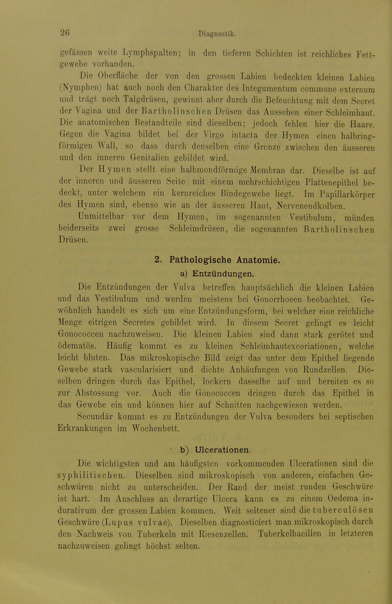 gefässen weite Lymphspaltcii; in den iiofcren Schicliten ist reichliches Fett- gewebe vorhanden. Die Oberfläche der von den grossen Labien bedeckten kleinen Labien (Nymphen) hat auch noch den Charakter des Integuraentura commune externura und trägt noch Talgdrüsen, gewinnt aber durch die Befeuchtung mit dem Secret der Vagina mid der Bartholinschen Drüsen das Aussehen einer Schleimhaut. Die anatomischen Bestandteile sind dieselben; jedoch fehlen hier die Haare. Gegen die Vagina bildet bei der Virgo intacta der Hymen einen halbring- förmigen AVall, so dass durch denselben eine Grenze zwischen den äusseren und den inneren Genitalien gebildet wird. Der Hymen stellt eine halbmondförmige Membran dar. Dieselbe ist auf der inneren und äusseren Seite mit einem mehrschichtigen Platten epithel be- deckt, unter welchem ein kernreiches Bindegewebe liegt. Ln Papillarkörper des Hymen sind, ebenso wie an der äusseren Haut, Nervenendkolben. Unmittelbar vor dem Hymen, im sogenannten Vestibulum, münden beiderseits zwei grosse Schleimdrüsen, die sogenannten Bartholinschen Drüsen. 2. Pathologische Anatomie. a) Entzündungen. Die Entzündungen der Vulva betreffen hauptsächlich die kleinen Labien und das Vestibulum und werden meistens bei Gonorrhoeen beobachtet. Ge- wöhnlich handelt es sich um eine Entzündungsform, bei welcher eine reichliche Menge eitrigen Secretes gebildet wird. Li diesem Secret geliügt es leicht Gonococcen nachzuweisen. Die kleinen Labien sind dann stark gerötet und ödematös. Häufig kommt es zu kleinen Schleimhautexcoriationen, welche leicht bluten. Das mikroskopische Bild zeigt das unter dem Epithel liegende Gewebe stark vascularisiert und dichte Anhäufungen von Rundzellen. Die- selben dringen durch das Epithel, lockern dasselbe auf und bereiten es so zur Abstossung vor. Auch die Gonococcen dringen durch das Epithel in das Gewebe ein und können hier auf Schnitten nachgewiesen werden. Secundär kommt es zu Entzündungen der Vulva besonders bei septischen Erkrankungen im Wochenbett. • b) Ulcerationen. Die wichtigsten und am häufigsten vorkommenden Ulcerationen sind die syphilitischen. Dieselben sind mikroskopisch von anderen, einfachen Ge- schwüren nicht zu unterscheiden. Der Rand der meist runden Geschwüre ist hart. Im Anschluss an derartige Ulcera kann es zu einem Oedema in- durativum der grossen Labien kommen. Weit seltener sind die tuberculö sen Geschwüre (Lupus vulvae). Dieselben diagnosticiert man mikroskopisch durch den Nachweis von Tuberkeln mit Riesenzellen. Tuberkelbacillen in letzteren nachzuweisen gelingt höchst selten.