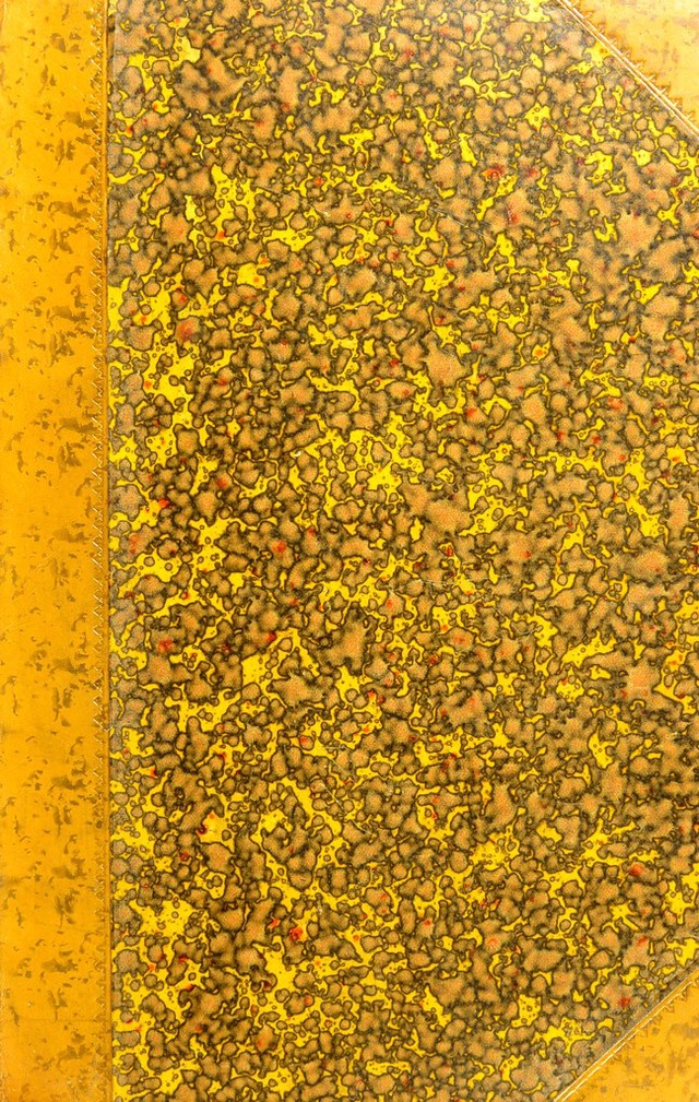 No text description is available for this image