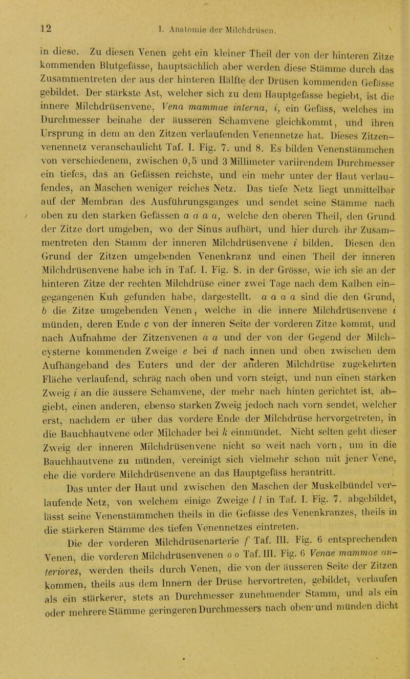 in diese. Zu diesen Venen geht ein kleiner Tlieil der von der hinteren Zitze kommenden Rlulgefässe, iiauptsächlich über weixlen diese Stiimmc durch das Zusammentreten der aus der hinteren lUllfle der Drüsen kommenden Gefiisse gebildet. Der stärkste Ast, welcher sich zu dem llauptgelasse begieljt, ist die innere Milchdrüsenvene, Vena mammae interna, i, ein Gefiiss, welches im Durchmesser beinahe der äusseren Schamvene gleichkommt, und ihren Ursprung in dem an den Zitzen verlaufenden Venennetze hat. Dieses Zitzen- venennetz veranschaulicht Taf. I. Fig. 7. und 8. Es bilden Venenstämmchcn von verschiedenem, zwischen 0,5 und 3 Millimeter variirendem Durchmesser ein tiefes, das an Gefilssen reichste, und ein mehr unter der Haut verlau- fendes, an Maschen weniger reiches Netz. Das tiefe Netz liegt unmittelbar auf der Membran des Ausführungsganges und sendet seine Stämme nach üben zu den starken Gefässen a a a a, welche den oberen Theil, den Grund der Zitze dort umgeben, wo der Sinus aufhört, und hier durch ihr Zusam- mentreten den Stamm der inneren Milchdrüsenvene / bilden. Diesen den Grund der Zitzen umgebenden Venenkranz und einen Theil der inneren Milchdrüsenvene habe ich in Taf. I. Fig. 8. in der Grösse, wie ich sie an der hinteren Zitze der rechten Milchdrüse einer zwei Tage nach dem Kalben ein- gegangenen Kuh gefunden habe, dargestellt, a a a a sind die den Grund, b die Zitze umgebenden Venen, welche in die innere MilchdrUsenvene t münden, deren Ende c von der inneren Seite der vorderen Zitze kommt, und nach Aufnahme der Zitzenvenen a a und der von der Gegend dei Milch- cysterne kommenden Zweige e bei d nach innen und oben zwischen dem Aufhängeband des Euters und der der anderen Milchdrüse zugekehrten Fläche verlaufend, schräg nach oben und vorn steigt, und nun einen starken Zweig i an die äussere Schamvene, der mehr nach hinten gerichtet ist, ab- giebt, einen anderen, ebenso starken Zweig jedoch nach vorn sendet, welcher erst, nachdem er über das vordere Ende der Milchdrüse hervorgetreten, in die Bauchhautvene oder Milchader bei k einmündet. Nicht selten geht dieser Zweig der inneren Milchdrüsenvene nicht so weit nach vorn, um in die Bauchhautvene zu münden, vereinigt sich vielmehr schon mit jener Vene, ehe die vordere Milchdrüsenvene an das Ilauptgefäss herantritt. Das unter der Haut und zwischen den Maschen der Muskelbündel ver- laufende Netz, von welchem einige Zweige 11 in Taf. I. Fig. 7. abgebildet, lässt seine Venenstämmchen theils in die Gefässe des Venenkranzes, theils in die stärkeren Stämme des tiefen Venennetzes eintreten. Die der vorderen Milchdrüsenarterie f Taf. III. Fig. 6 entsprechenden Venen, die vorderen MilchdrUsenvenen o o Taf. III. Fig. 6 Venae mammae an- teriores, werden theils durch Venen, die von der äusseren Seite der Zitzen kommen, theils aus dem Innern der Drüse hervortreten, geliildet, verlaufen als ein stärkerer, stets an Durchmesser zunehmender Stamm, und als em oder mehrere Stämme geringeren Durchmessers nach oben-und münden dicht