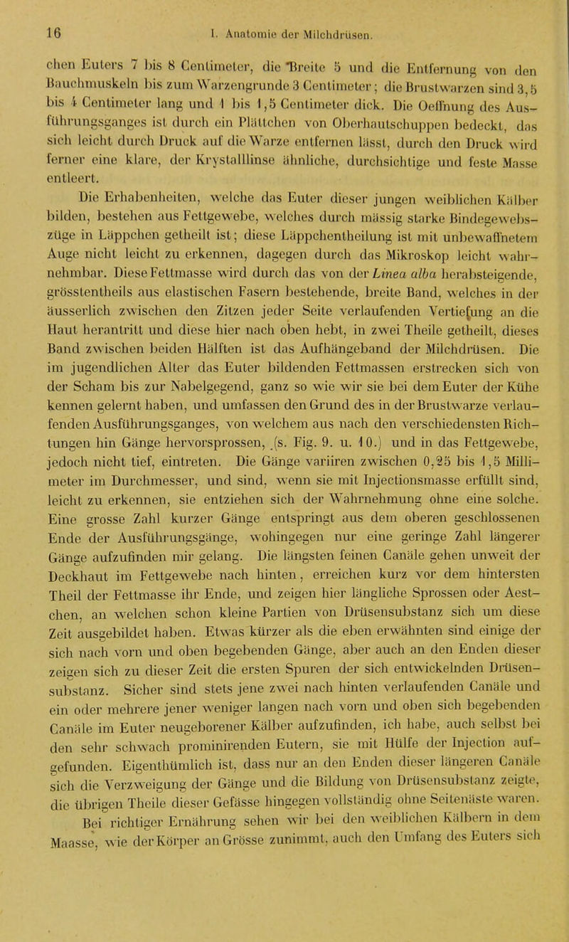 chen Euters 7 l>is 8 Centiinelor, die •Breite 5 und die Entfernung von den Bauclimuskeln bis zum Warzengrunde 3 Cenliineter; die Brustwarzen sind 3,5 bis 4 Centimeter lang und i bis 1,5 Centimeter dick. Die OefFnung des Aus- filhrungsganges ist durch ein Plältchen von Ol^erhaulschuppen bedeckt, das sich leicht durch Druck auf die Warze entfernen lässt, durch den Druck w ii d ferner eine klare, der Krystalllinse ähnliche, durchsichtige und feste Masse entleert. Die Erhabenheiten, welche das Euter dieser jungen weibhchen Kälber bilden, bestehen aus Fettgewebe, welches durch massig starke Bindegewebs- züge in Läppchen getheilt ist; diese Läppchentheilung ist mit unbewaffnetem Auge nicht leicht zu erkennen, dagegen durch das Mikroskop leicht wahr- nehmbar. Diese Fettmasse wird durch das von der Linea alba liorabsteigende, grösstentheils aus elastischen Fasern bestehende, breite Band, welches in der äusserlich zwischen den Zitzen jeder Seite verlaufenden Vertiefung an die Haut herantritt und diese hier nach oben hebt, in zwei Theile getheilt, dieses Band zwischen beiden Hälften ist das Aufhängeband der Milchdrüsen. Die im jugendlichen Alter das Euter bildenden Fettmassen erstrecken sich von der Scham bis zur Nabelgegend, ganz so wie wir sie bei dem Euter der Kühe kennen gelernt haben, und umfassen den Grund des in der Brustwarze verlau- fenden Ausführungsganges, von welchem aus nach den verschiedensten Rich- tungen hin Gänge hervorsprossen, (s. Fig. 9. u. 10.) und in das Fettgewebe, jedoch nicht tief, eintreten. Die Gänge variiren zwischen 0,25 bis i,5 Milli- meter im Durchmesser, und sind, wenn sie mit Injectionsmasse erfüllt sind, leicht zu erkennen, sie entziehen sich der Wahrnehmung ohne eine solche. Eine grosse Zahl kurzer Gänge entspringt aus denn oberen geschlossenen Ende der Ausführungsgänge, wohingegen nur eine geringe Zahl längerer Gänge aufzufinden mir gelang. Die längsten feinen Canäle gehen unw^eit der Deckliaut im Fettgewebe nach hinten, erreichen kurz vor dem hintersten Theil der Fettmasse ihr Ende, und zeigen hier längUche Sprossen oder Aest- chen, an welchen schon kleine Partien von DiHsensubstanz sich um diese Zeit ausgebildet haben. Etwas kürzer als die eben erwähnten sind einige der sich nach vorn und oben begebenden Gänge, aber auch an den Enden dieser zeigen sich zu dieser Zeit die ersten Spuren der sich entwickelnden Dinisen- substanz. Sicher sind stets jene zw ei nach hinten verlaufenden Canäle und ein oder mehrere jener w^eniger langen nach vorn und oben sich begebenden Canäle im Euler neugeborener Kälber aufzufinden, ich habe, auch selbst bei den sehr schwach prorainirenden Eutern, sie mit Hülfe der Injection auf- gefunden. Eigenthümlich ist, dass nur an den Enden dieser längeren Canäle sich die Verzweigung der Gänge und die Bildung von Drüsensubstanz zeigte, die übrigen Theile dieser Gefässe hingegen vollständig ohne Seitenäste waren. Bei richtiger Ernährung sehen wir bei den weiblichen Kälbern in dem Maasse, w ie der Körper an Grösse zunimmt, auch den Umfang des Euters sich