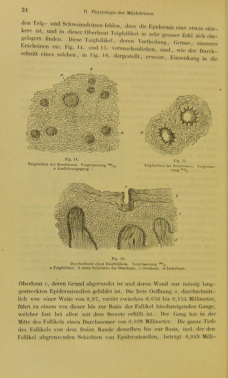 den ra B- „„,1 Sohweis,s,ln,se„ fehlon, <l„,,s Kpidermis ein« elwas .,u,r- ke e ,s , „nd „, d.eser Oberhaun Tnlglollikel i„ .el,,- g,-»,«.,- Zahl sich 1- K scta„.„ etc. Fig. U. und ,S. ve,.a„.,chauliche„, sind, wie d.r Zeh! schn.U o,„es solchen, in 1 ig. ,6. dai-geslelll. erweisl, Einsenkung in die Fig. 14. TalgfoUikel der Brustwarze. Vergröeserung '«/i, a Ausführungegang. ' Fig. 15. TalgfoUikel der Brustwarze. Vergrösse- rung 0/^. ' ©GO ~ 0 Fig. 16. Durchschnitt eines Taigfollikels. Vergrösserung '%. a TalgfoUikel. 6 obere Schichten der Oberhaut, c Oberhaut, d Lederhaut. Oberhaut c, deren Grund abgerundet ist und deren Wand aus massig lang- gestreckten Epidermiszellen gebildet ist. Die freie Oeffnung n, durchschnitt- lich von einer Weite von 0,07, variirt zwischen 0,056 bis 0,154 Milhmeler, führt zu einem von dieser bis zur Basis der Follikel hinabsteigenden Gange, welcher fast bei allen mit dem Secrete erfüllt ist. Der Gang hat in der Mitte dos Follikels einen Durchmesser von 0,028 Millimeter. Die ganze Tiefe des Follikels von dem freien Rande desselben bis zur Basis, incl. der den Follikel abgrenzenden Schichten von Epidermiszellen, beträgt 0,0S9 Mihi-