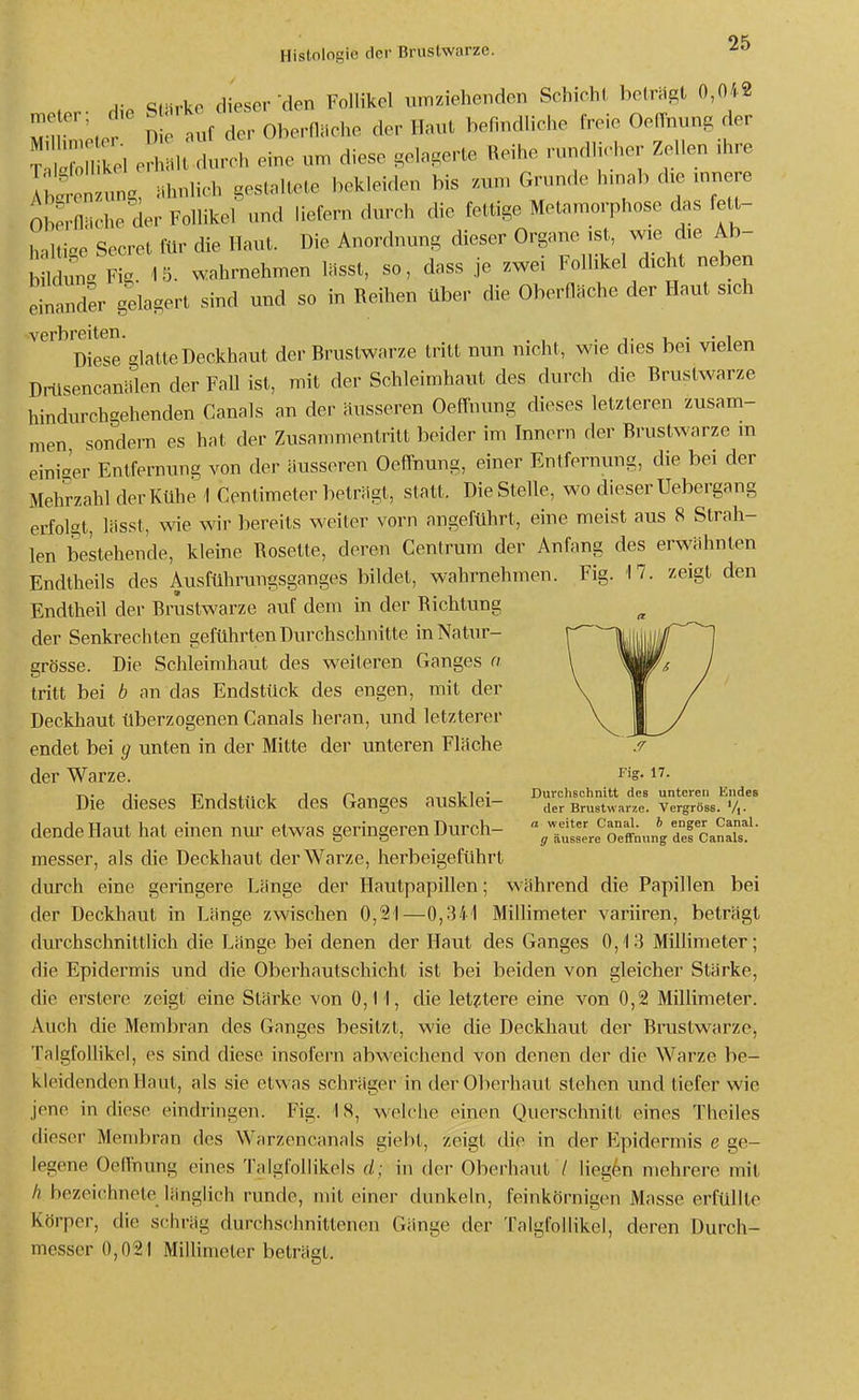 9^ Histologie der Brustwarze. ^■^ A- ^.=irko dieser den Follikel umziehenden Schicht beträgt 0,042 n',.^ auf der Oberniiehe der Haut befindliche freie Oenhung der M eH H durch eine um diese gelagerte Reihe rundlü-her Zellen .hre ung, ähnlich gestaltete bekleiden bis zun. Grunde hmab die mnere 0l e nüche der Follikel und liefern durch die fettige Metamorphose das fett- haltige Secret für die Haut. Die Anordnung dieser Organe ist, wie d,e Ab- b c m Fig 15. wahrnehmen lässt, so, dass je zwei Follikel dicht neben linder gelagert sind und so in Reihen über die Oberfläche der Haut sich verbreiten. . . , Diese glatte Deckhaut der Brustwarze tritt nun nicht, wie dies bei vielen Drüsencanälen der Fall ist, mit der Schleimhaut des durch die Brustwarze hindurchgehenden Canals an der äusseren Oeffnung dieses letzteren zusam- men sondern es hat der Zusammentritt beider im Innern der Brustwarze in einiger Entfernung von der äusseren Oeffnung, einer Entfernung, die bei der Mehrzahl der Kühe 1 Centimeter beträgt, statt. Die Stelle, wo dieser Uebergang erfolgt, lässt, wie wir bereits weiter vorn angeführt, eine meist aus 8 Strah- len bestehende, kleine Rosette, deren Centrum der Anfang des erwähnten Endtheils des Ausfühningsganges bildet, wahrnehmen. Fig. '17. zeigt den Endtheil der Brustwarze auf dem in der Richtung der Senkrechten geführten Durchschnitte inNatur- grösse. Die Schleimhaut des weiteren Ganges a tritt bei b an das Endstück des engen, mit der Deckhaut überzogenen Canals heran, und letzterer endet bei g unten in der Mitte der unteren Fläche der Warze. 1^- Die dieses Endstück des Ganges ausklei- ^der'ßrustwarr. vergröss. v,. dende Haut hat einen nur etwas geringeren Durch- oeff^un, Tef canX!' messer, als die Deckhaut der Warze, herbeigeführt durch eine geringere Länge der Hautpapillen; während die Papillen bei der Deckhaut in Länge zwischen 0,21—0,341 Millimeter variiren, beträgt durchschnittlich die Länge bei denen der Haut des Ganges 0,13 Millimeter; die Epidermis und die Oberhautschicht ist bei beiden von gleicher Stärke, die erstere zeigt eine Stärke von 0,11, die letztere eine von 0,2 Millimeter. Auch die Membran des Ganges besitzt, wie die Deckhaut der Brustwarze, TalgfoUikel, es sind diese insofern abweichend von denen der die Warze be- kleidenden Haut, als sie etwas schräger in der Oberhaut stehen und tiefer wie jene in diese eindringen. Fig. 18, welche einen Querschnitt eines Theiles dieser Membran des Warzencanals giebt, zeigt die in der Epidermis e ge- legene OefFnung eines TalgfoUikols d; in der Oberhaut 7 liegen mehrere mit h bezeichnete länglich runde, mit einer dunkeln, feinkörnigen Masse erfüllte Körper, die schräg durchschnittenen Gänge der TalgfoUikel, deren Durch- messer 0,021 MiUimeler beträgt.