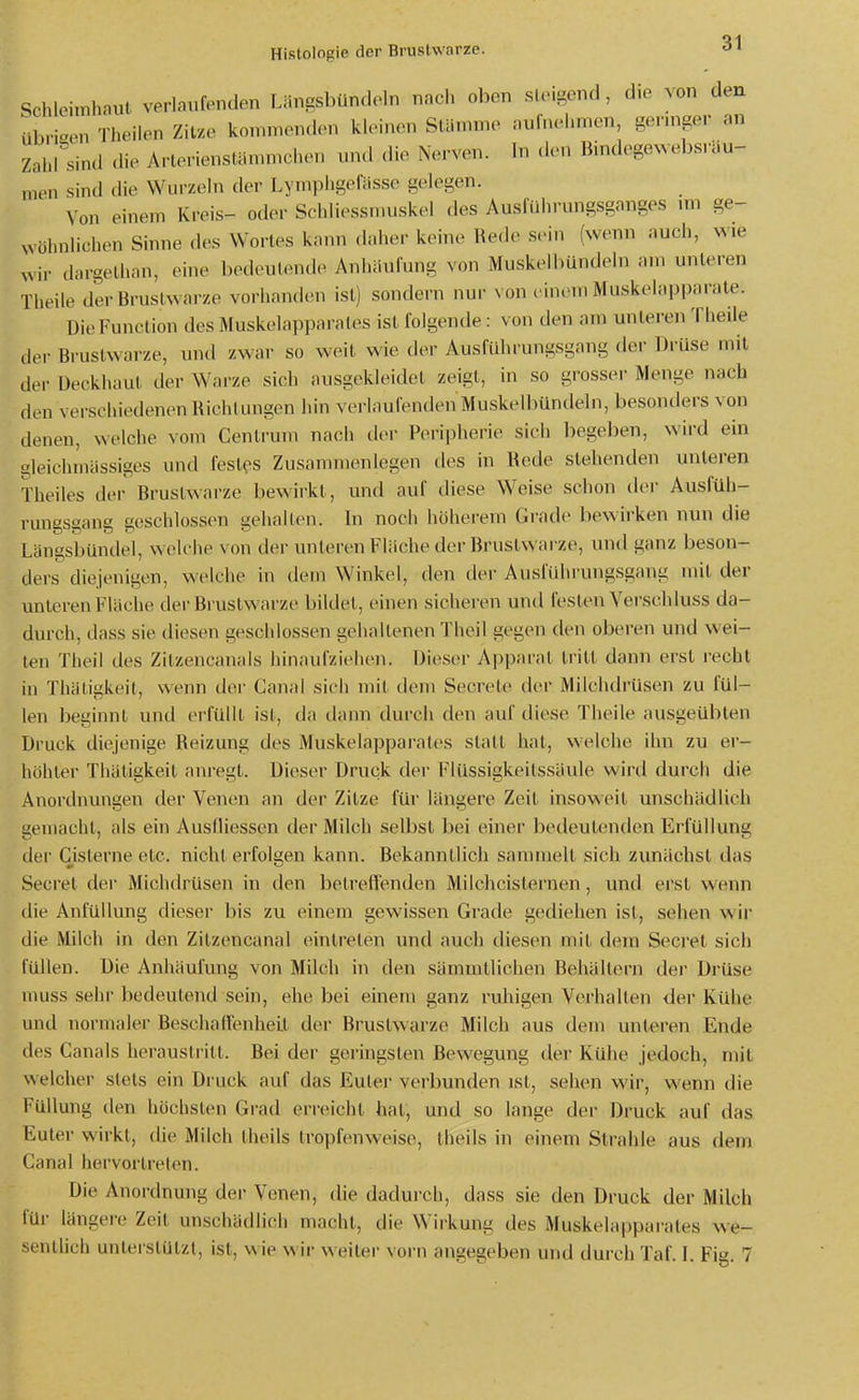 Schleiinh-nut verlaiifenden Längsbünd(>ln nncl. oben sl.Mj^ond, die von den übrigen Tl.eilon Zitze konunenden kleinen Stämme nnlnehmen, germger an Zahl sind die Arlerienstämmchen und die Nerven, h^ den Bindegewebsräu- men sind die Wurzeln der Lymphgefässe gelegen. Von einem Kreis- oder Schliessn.uskel des Ausfiihrungsgnnges mi ge- wöhnlichen Sinne des Wortes kann <h.he.- keine Rede sein (wenn auch, wie wir dargethan, eine l)edeutende Anhiiufung von MuskeibUndeln am unleren Theile der Brustwarze vorhanden ist) sondern nur von einem Muskelapparate. Die Function des Muskelapparales ist folgende: von den am unleren Theile iler Brustwarze, und zwar so weit wie der Ausführungsgang der Drüse mit der Deckhaut der Warze sich ausgekleidet zeigt, in so grosser Menge nach den verschiedenen Bichtungen hin verlaufenden Muskelbündeln, besonders von denen, welche vom Centrum nach dei- Peripherie sich begeben, wird ein gleichmässiges und festes Zusammenlegen des in Bede stehenden unteren Theiles der Brustwarze bewirkt, und auf diese Weise schon der AusfUh- rungs^ang geschlossen gehalten. In noch höherem Grade bewirken nun die Längsbündel, welche von der unteren Fläche der Brustwarze, und ganz beson- ders diejenigen, welche in dem Winkel, den der Ausführungsgang mit der unteren Fläche der Brustwarze bildet, einen sicheren und festen Verschluss da- durch, dass sie diesen geschlossen gehaltenen Theil gegen den oberen und wei- ten Theil des Zitzencanals hinaufziehen. Dieser Apparat tritt dann erst recht in Thäligkeit, wenn der Canal sich mit dem Secrete der Milchdrüsen zu fül- len beginnt und ei'füllt ist, da tlann durch den auf diese Theile ausgeübten Druck diejenige Beizung des Muskelapparates statt hat, welche ihn zu er- höhter Tliätigkeit anregt. Dieser Druck dei- Flüssigkeitssäule wird durch die Anordnungen der Venen an der Zitze für längere Zeil insoweit unschädlich gemacht, als ein Ausfliessen der Milch selbst bei einer bedeutenden Erfüllung der Cisterne etc. nicht erfolgen kann. Bekanntlich sanunelt sich zunächst das Secret dei- Michdrüsen in den betreffenden Milchcislernen, und erst wenn die Anfüllung dieser bis zu einem gewissen Grade gediehen ist, sehen wir die Milch in den Zilzencanal eintreten und auch diesen mit dem Secret sich füllen. Die Anhäufung von Milch in den sämmtlichen Behältern der Drüse muss sehr bedeutend sein, ehe bei einem ganz ruhigen Verhallen der Kühe und normaler BeschadenheLt der Brustwarze Milch aus dem unteren Ende des Canals hei-auslrill. Bei der geringsten Bewegung der Kühe jedoch, mit welcher stets ein Druck auf das Eutei- verbunden ist, sehen wir, wenn die Füllung den höchsten Grad erreicht hat, und so lange der Druck auf das Euter wirkt, die Milch theils tropfenweise, Iheils in einem Strahle aus dem Canal hervortreten. Die Anordnung der Venen, die dadurch, dass sie den Druck der Milch für längere Zeit unschädlich macht, die Wirkung des Muskelapparales we- sentlich unterstützt, ist, wie wir weiter vorn angegeben und durch Taf. I. Fig. 7