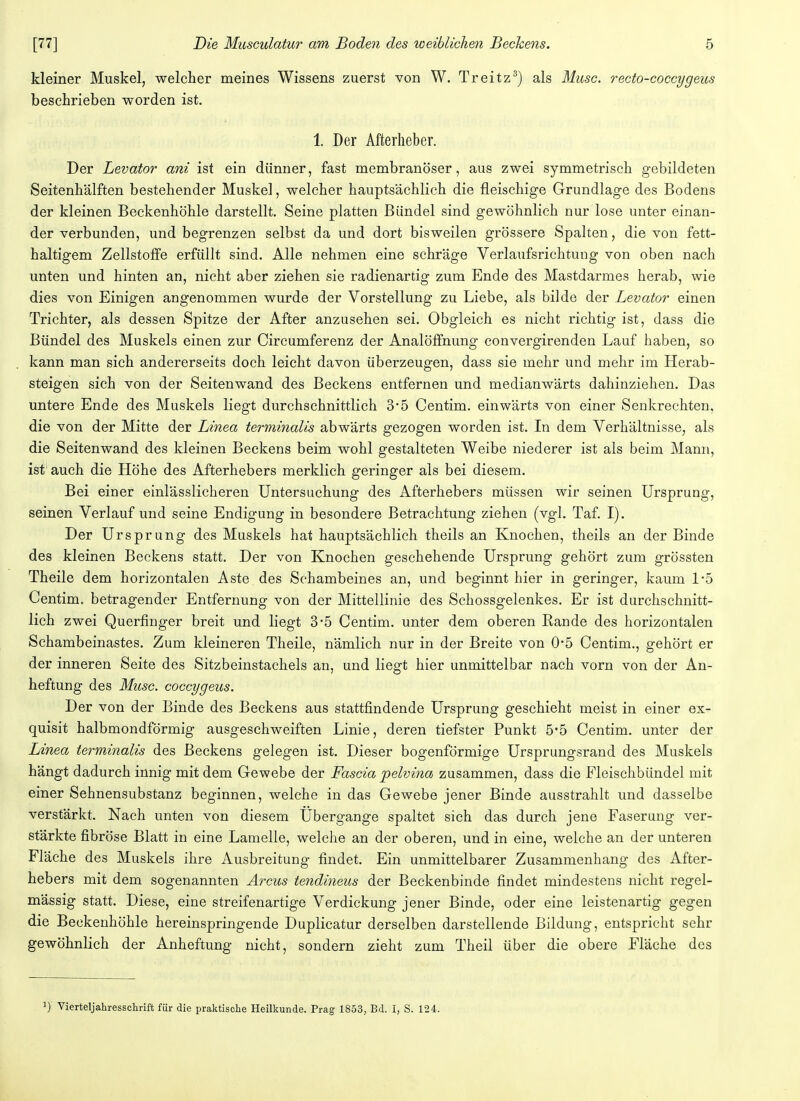 kleiner Muskel, welcher meines Wissens zuerst von W. Treitz3) als Muse, recto-coccygeus beschrieben worden ist. 1. Der Afterheber. Der Levator ani ist ein dünner, fast membranöser, aus zwei symmetrisch gebildeten Seitenhälften bestehender Muskel, welcher hauptsächlich die fleischige Grundlage des Bodens der kleinen Beckenhöhle darstellt. Seine platten Bündel sind gewöhnlich nur lose unter einan- der verbunden, und begrenzen selbst da und dort bisweilen grössere Spalten, die von fett- haltigem Zellstoffe erfüllt sind. Alle nehmen eine schräge Verlaufsrichtung von oben nach unten und hinten an, nicht aber ziehen sie radienartig zum Ende des Mastdarmes herab, wie dies von Einigen angenommen wurde der Vorstellung zu Liebe, als bilde der Levator einen Trichter, als dessen Spitze der After anzusehen sei. Obgleich es nicht richtig ist, dass die Bündel des Muskels einen zur Circumferenz der Analöffnung convergirenden Lauf haben, so kann man sich andererseits doch leicht davon überzeugen, dass sie mehr und mehr im Herab- steigen sich von der Seitenwand des Beckens entfernen und medianwärts dahinziehen. Das untere Ende des Muskels liegt durchschnittlich 3*5 Centim. einwärts von einer Senkrechten, die von der Mitte der Linea terminalis abwärts gezogen worden ist. In dem Verhältnisse, als die Seitenwand des kleinen Beckens beim wohl gestalteten Weibe niederer ist als beim Mann, ist auch die Höhe des Afterhebers merklich geringer als bei diesem. Bei einer einlässlicheren Untersuchung des Afterhebers müssen wir seinen Ursprung, seinen Verlauf und seine Endigung in besondere Betrachtung ziehen (vgl. Taf. I). Der Ursprung des Muskels hat hauptsächlich theils an Knochen, theils an der Binde des kleinen Beckens statt. Der von Knochen geschehende Ursprung gehört zum grössten Theile dem horizontalen Aste des Schambeines an, und beginnt hier in geringer, kaum 1*5 Centim. betragender Entfernung von der Mittellinie des Schossgelenkes. Er ist durchschnitt- lich zwei Querfinger breit und liegt 3-5 Centim. unter dem oberen Rande des horizontalen Schambeinastes. Zum kleineren Theile, nämlich nur in der Breite von 0*5 Centim., gehört er der inneren Seite des Sitzbeinstachels an, und liegt hier unmittelbar nach vorn von der An- heftung des Muse, coecygeus. Der von der Binde des Beckens aus stattfindende Ursprung geschieht meist in einer ex- quisit halbmondförmig ausgeschweiften Linie, deren tiefster Punkt 5*5 Centim. unter der Linea terminalis des Beckens gelegen ist. Dieser bogenförmige Ursprungsrand des Muskels hängt dadurch innig mit dem Gewebe der Fascia pelvina zusammen, dass die Fleischbündel mit einer Sehnensubstanz beginnen, welche in das Gewebe jener Binde ausstrahlt und dasselbe verstärkt. Nach unten von diesem Ubergange spaltet sich das durch jene Faserung ver- stärkte fibröse Blatt in eine Lamelle, welche an der oberen, und in eine, welche an der unteren Fläche des Muskels ihre Ausbreitung findet. Ein unmittelbarer Zusammenhang des After- hebers mit dem sogenannten Arcus tendineus der Beckenbinde findet mindestens nicht regel- mässig statt. Diese, eine streifenartige Verdickung jener Binde, oder eine leistenartig gegen die Beckenhöhle hereinspringende Duplicatur derselben darstellende Bildung, entspricht sehr gewöhnlich der Anheftung nicht, sondern zieht zum Theil über die obere Fläche des J) Vierteljahresschrift für die praktische Heilkunde. Prag 1853, Bd. I, S. 124.