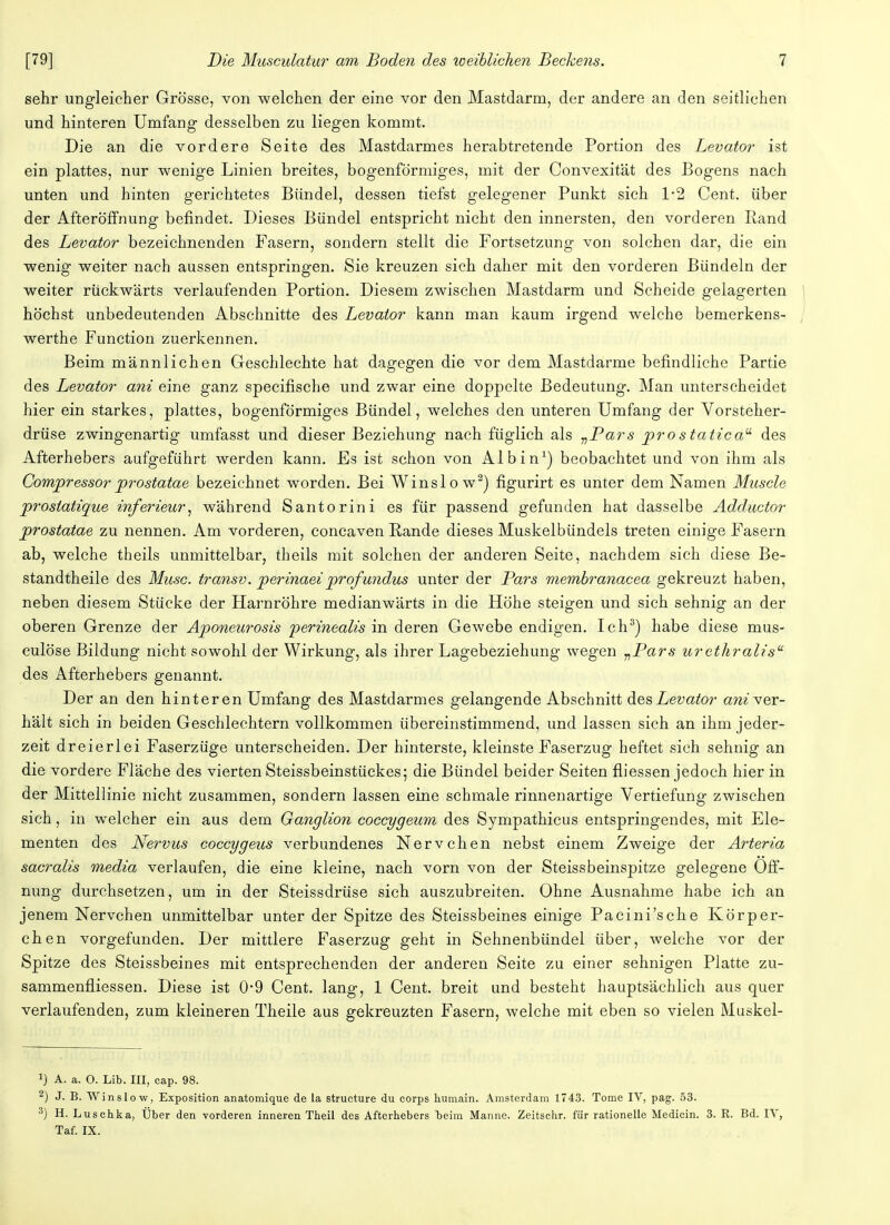 sehr ungleicher Grösse, von welchen der eine vor den Mastdarm, der andere an den seitlichen und hinteren Umfang desselben zu liegen kommt. Die an die vordere Seite des Mastdarmes herabtretende Portion des Levator ist ein plattes, nur wenige Linien breites, bogenförmiges, mit der Convexität des Bogens nach unten und hinten gerichtetes Bündel, dessen tiefst gelegener Punkt sich 1-2 Cent, über der Afteröffnung befindet. Dieses Bündel entspricht nicht den innersten, den vorderen Rand des Levator bezeichnenden Fasern, sondern stellt die Fortsetzung von solchen dar, die ein wenig weiter nach aussen entspringen. Sie kreuzen sich daher mit den vorderen Bündeln der weiter rückwärts verlaufenden Portion. Diesem zwischen Mastdarm und Scheide gelagerten höchst unbedeutenden Abschnitte des Levator kann man kaum irgend welche bemerkens- werthe Function zuerkennen. Beim männlichen Geschlechte hat dagegen die vor dem Mastdarme befindliche Partie des Levator am eine ganz specifische und zwar eine doppelte Bedeutung. Man unterscheidet hier ein starkes, plattes, bogenförmiges Bündel, welches den unteren Umfang der Vorsteher- drüse zwingenartig umfasst und dieser Beziehung nach füglich als „Pars prostaticau des Afterhebers aufgeführt werden kann. Es ist schon von AI bin1) beobachtet und von ihm als Compressorprostatae bezeichnet worden. Bei Winslo w2) figurirt es unter dem Namen Muscle prosiatique inferieur, während Santorini es für passend gefunden hat dasselbe Adductor prostatae zu nennen. Am vorderen, concaven Rande dieses Muskelbündels treten einige Fasern ab, welche theils unmittelbar, theils mit solchen der anderen Seite, nachdem sich diese Be- standteile des Muse, transv. p er inaei profundus unter der Pars membranacea gekreuzt haben, neben diesem Stücke der Harnröhre medianwärts in die Höhe steigen und sich sehnig an der oberen Grenze der Aponeurosis perineales in deren Gewebe endigen. Ich3) habe diese mus- culöse Bildung nicht sowohl der Wirkung, als ihrer Lagebeziehung wegen „Pars uretliralisu des Afterhebers genannt. Der an den hinteren Umfang des Mastdarmes gelangende Abschnitt des Levator ani ver- hält sich in beiden Geschlechtern vollkommen übereinstimmend, und lassen sich an ihm jeder- zeit dreierlei Faserzüge unterscheiden. Der hinterste, kleinste Faserzug heftet sich sehnig an die vordere Fläche des vierten Steissbeinstückes; die Bündel beider Seiten fliessen jedoch hier in der Mittellinie nicht zusammen, sondern lassen eine schmale rinnenartige Vertiefung zwischen sich, in welcher ein aus dem Ganglion coecygeum des Sympathicus entspringendes, mit Ele- menten des Nervus coecygeus verbundenes Nervchen nebst einem Zweige der Arteria sacralis media verlaufen, die eine kleine, nach vorn von der Steissbeinspitze gelegene Öff- nung durchsetzen, um in der Steissdrüse sich auszubreiten. Ohne Ausnahme habe ich an jenem Nervchen unmittelbar unter der Spitze des Steissbeines einige Pacini'sche Körper- chen vorgefunden. Der mittlere Faserzug geht in Sehnenbündel über, welche vor der Spitze des Steissbeines mit entsprechenden der anderen Seite zu einer sehnigen Platte zu- sammenfassen. Diese ist 0-9 Cent, lang, 1 Cent, breit und besteht hauptsächlich aus quer verlaufenden, zum kleineren Theile aus gekreuzten Fasern, welche mit eben so vielen Muskel- J) A. a. O. Lib. III, cap. 98. 2) J. B. Winslow, Exposition anatomique de la strueture du corps humain. Amsterdam 1743. Tome IV, pag. 53. 3) H. Luschka, Über den vorderen inneren Theil des Afterhebers beim Manne. Zeitschr. für rationelle Medicin. 3. R. Bd. IV, Taf. IX.