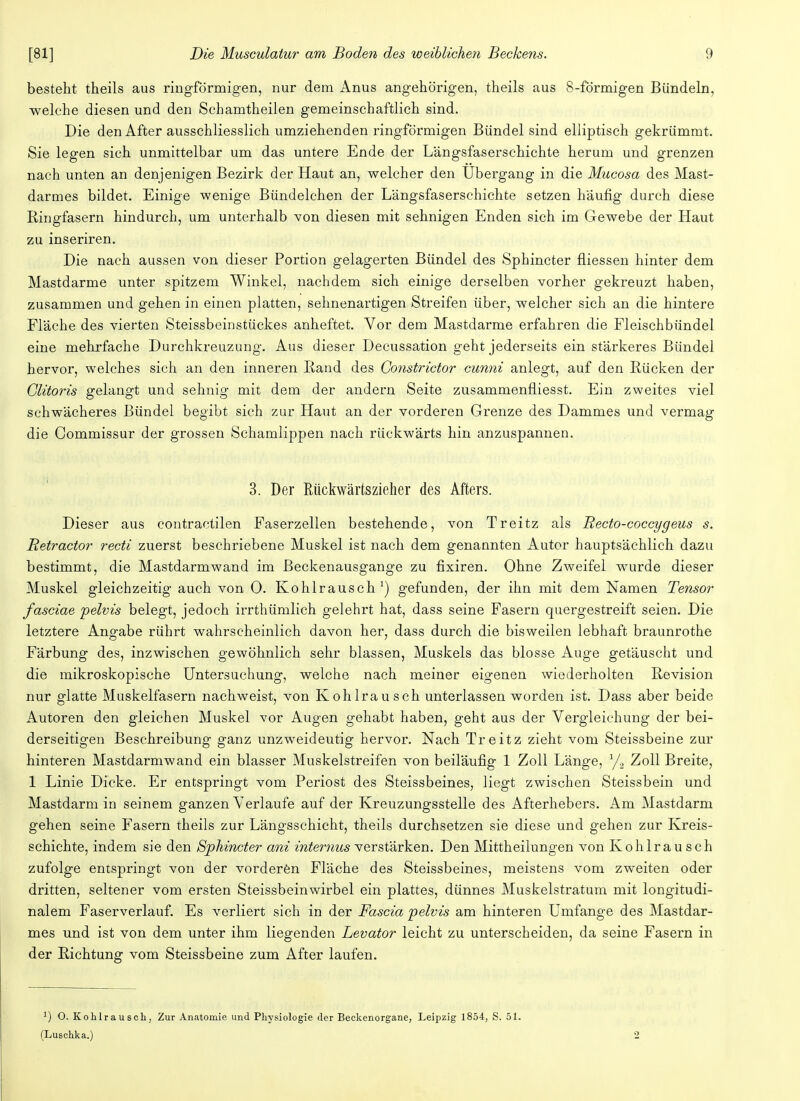 besteht theils aus ringförmigen, nur dem Anus angehörigen, theils aus 8-förmigen Bündeln, welche diesen und den Schamtheilen gemeinschaftlich sind. Die den After ausschliesslich umziehenden ringförmigen Bündel sind elliptisch gekrümmt. Sie legen sich unmittelbar um das untere Ende der Längsfaserschichte herum und grenzen nach unten an denjenigen Bezirk der Haut an, welcher den Ubergang in die Mucosa des Mast- darmes bildet. Einige wenige Bündelchen der Längsfaserschichte setzen häufig durch diese Ringfasern hindurch, um unterhalb von diesen mit sehnigen Enden sich im Gewebe der Haut zu inseriren. Die nach aussen von dieser Portion gelagerten Bündel des Sphincter fliessen hinter dem Mastdarme unter spitzem Winkel, nachdem sich einige derselben vorher gekreuzt haben, zusammen und gehen in einen platten, sehnenartigen Streifen über, welcher sich an die hintere Fläche des vierten Steissbeinstiick.es anheftet. Vor dem Mastdarme erfahren die Fleischbündel eine mehrfache Durchkreuzung. Aus dieser Decussation geht jederseits ein stärkeres Bündel hervor, welches sich an den inneren Rand des Constrictor cunni anlegt, auf den Rücken der Clitoris gelangt und sehnig mit dem der andern Seite zusammenfliesst. Ein zweites viel schwächeres Bündel begibt sich zur Haut an der vorderen Grenze des Dammes und vermag die Commissur der grossen Schamlippen nach rückwärts hin anzuspannen. 3. Der Rückwärtszieher des Afters. Dieser aus contractilen Faserzellen bestehende, von Treitz als Becto-coccygeus s. Retractor recti zuerst beschriebene Muskel ist nach dem genannten Autor hauptsächlich dazu bestimmt, die Mastdarmwand im Beckenausgange zu fixiren. Ohne Zweifel wurde dieser Muskel gleichzeitig auch von 0. Kohlrausch1) gefunden, der ihn mit dem Namen Tensor fasciae pelvis belegt, jedoch irrthümlich gelehrt hat, dass seine Fasern quergestreift seien. Die letztere Angabe rührt wahrscheinlich davon her, dass durch die bisweilen lebhaft braunrothe Färbung des, inzwischen gewöhnlich sehr blassen, Muskels das blosse Auge getäuscht und die mikroskopische Untersuchung, welche nach meiner eigenen wiederholten Revision nur glatte Muskelfasern nachweist, von Kohlrausch unterlassen worden ist. Dass aber beide Autoren den gleichen Muskel vor Augen gehabt haben, geht aus der Vergleichung der bei- derseitigen Beschreibung ganz unzweideutig hervor. Nach Treitz zieht vom Steissbeine zur hinteren Mastdarmwand ein blasser Muskelstreifen von beiläufig 1 Zoll Länge, % Zoll Breite, 1 Linie Dicke. Er entspringt vom Periost des Steissbeines, liegt zwischen Steissbein und Mastdarm in seinem ganzen Verlaufe auf der Kreuzungsstelle des Afterhebers. Am Mastdarm gehen seine Fasern theils zur Längsschicht, theils durchsetzen sie diese und gehen zur Kreis- schichte, indem sie den Sphincter ani internus verstärken. Den Mittheilungen von Kohlrausch zufolge entspringt von der vorderen Fläche des Steissbeines, meistens vom zweiten oder dritten, seltener vom ersten Steissbeinwirbel ein plattes, dünnes Muskelstratum mit longitudi- nalem Faserverlauf. Es verliert sich in der Fascia pelvis am hinteren Umfange des Mastdar- mes und ist von dem unter ihm liegenden Levator leicht zu unterscheiden, da seine Fasern in der Richtung vom Steissbeine zum After laufen. J) O. Kolilrausch, Zur Anatomie und Physiologie der Beckenorgane, Leipzig 1854, S. 51. (Luschka.)