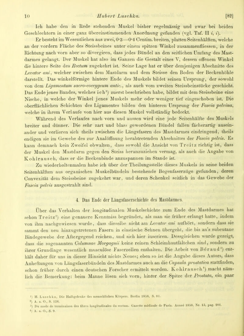 Ich habe den in Rede stehenden Muskel bisher regelmässig und zwar bei beiden Geschlechtern in einer ganz übereinstimmenden Anordnung gefunden (vgl. Taf. II i, i). Er besteht im Wesentlichen aus zwei, 0-3—0*4 Centim. breiten, platten Seitenhälften, welche an der vordem Fläche des Steissbeines unter einem spitzen Winkel zusammenfliessen, in der Richtung nach vorn aber so divergiren, dass jedes Bündel an den seitlichen Umfang des Mast- darmes gelangt. Der Muskel hat also im Ganzen die Gestalt eines V, dessen offenem Winkel die hintere Seite des Rectum zugekehrt ist. Seine Lage hat er über demjenigen Abschnitte des Levator ani. welcher zwischen dem Mastdarm und dem Steisse den Boden der Beckenhöhle darstellt. Das winkelförmige hintere Ende des Muskels bildet seinen Ursprung, der sowohl von dem Ligamentum sacro-coccygeum antic, als auch vom zweiten Steissbeinstücke geschieht. Das Ende jenes Bandes, welches ich1) zuerst beschrieben habe, bildet mit dem Steissbeine eine Nische, in welche der Winkel jenes Muskels mehr oder weniger tief eingeschoben ist. Die oberflächlichen Schichten des Ligamentes bilden den hinteren Ursprung der Fascia pelvina, welche in ihrem Verlaufe von hier aus diesen Muskel vollständig bedeckt. Während des Verlaufes nach vorn und aussen wird eine jede Seitenhälfte des Muskels breiter und dünner. Die sehr zart und blass gewordenen Bündel fallen fächerartig ausein- ander und verlieren sich theils zwischen die Längsfasern des Mastdarmes eindringend, theils endigen sie im Gewebe des zur AnalöfTnung herabtretenden Abschnittes der Fascia pelvis. Es kann demnach kein Zweifel obwalten, dass sowohl die Ansicht von Treitz richtig ist, dass der Muskel den Mastdarm gegen den Steiss heranzuziehen vermag, als auch die Angabe von Kohlrausch, dass er die Beckenbinde anzuspannen im Stande ist. Zu wiederholtenmalen habe ich über der Theilungsstelle dieses Muskels in seine beiden Seitenhälften aus organischen Muskelbündeln bestehende Bogenfaserzüge gefunden, deren Convexität dem Steissbeine zugekehrt war, und deren Schenkel seitlich in das Gewebe der Fascia pelvis ausgestrahlt sind. 4. Das Ende der Längsfaserschichte des Mastdarmes. Über das Verhalten der longitudinalen Muskelschichte zum Ende des Mastdarmes hat schon Treitz2) eine genauere Kenntniss begründet, als man sie früher erlangt hatte, indem von ihm nachgewiesen wurde, dass dieselbe nicht am Levator ani aufhört, sondern dass sie sammt den neu hinzugetretenen Fasern in elastische Sehnen übergeht, die bis an's subcutane Bindegewebe der Aftergegend reichen, und sich hier inseriren. Dessgleichen wurde gezeigt, dass die sogenannten Columnae Morgagnii keine reinen Schleimhautfaltchen sind, sondern zu ihrer Grundlage wesentlich musculöse Faserzellen enthalten. Die Arbeit von Beraud3) ent- hält daher für uns in dieser Hinsicht nichts Neues; eben so ist die Angabe dieses Autors, dass Anheftungen von Längsfaserbündeln des Mastdarmes auch an die Capsula prostatica stattfinden, schon früher durch einen deutschen Forscher ermittelt worden. K ohlra useh *) macht näm- lich die Bemerkung: beim Manne lösen sich vorn, hinter der Spitze der Prostata, ein paar M H. Luschka, Die Halbgelenke des menschlichen Körpers. IScrlin 1858, S. 81. *) A. a. O., S. 120. 8) Du niode de terminaison des fibres longitudinales du rectum. Gazette medicale de Paris. Annee 1858. Nr. 18, pag. 21 *) A. a. O., S. 9.