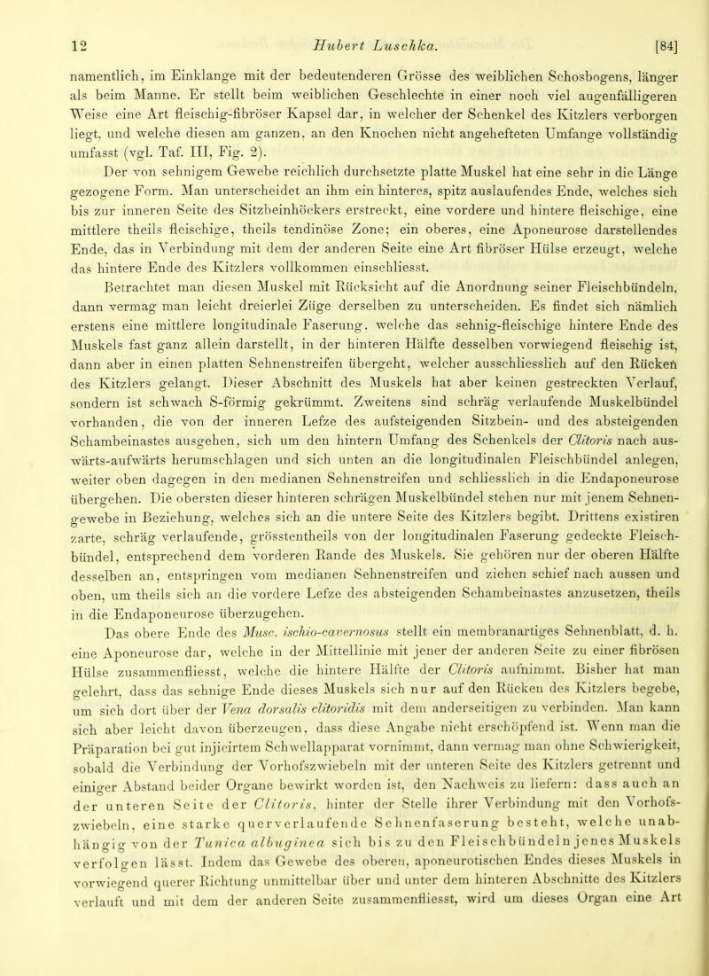 namentlich, im Einklänge mit der bedeutenderen Grösse des weiblichen Schosbngens, länger als beim Manne. Er stellt beim weiblichen Geschlechte in einer noch viel augenfälligeren Weise eine Art fleischig-fibröser Kapsel dar, in welcher der Schenkel des Kitzlers verborgen liegt, und welche diesen am ganzen, an den Knochen nicht angehefteten Umfange vollständig umfasst (vgl. Taf. III, Fig. 2). Der von sehnigem Gewebe reichlich durchsetzte platte Muskel hat eine sehr in die Länge gezogene Form. Man unterscheidet an ihm ein hinteres, spitz auslaufendes Ende, welches sich bis zur inneren Seite des Sitzbeinhöckers erstreckt, eine vordere und hintere fleischige, eine mittlere theils fleischige, theils tendinöse Zone; ein oberes, eine Aponeurose darstellendes Ende, das in Verbindung mit dem der anderen Seite eine Art fibröser Hülse erzeugt, welche das hintere Ende des Kitzlers vollkommen einschliesst. Betrachtet man diesen Muskel mit Rücksicht auf die Anordnung seiner Fleischbündeln, dann vermag man leicht dreierlei Züge derselben zu unterscheiden. Es findet sich nämlich erstens eine mittlere longitudinale Faserung. welche das sehnig-fleischige hintere Ende des Muskels fast ganz allein darstellt, in der hinteren Hälfte desselben vorwiegend fleischig ist, dann aber in einen platten Sehnenstreifen übergeht, welcher ausschliesslich auf den Rücken des Kitzlers gelangt. Dieser Abschnitt des Muskels hat aber keinen gestreckten Verlauf, sondern ist schwach S-förmig gekrümmt. Zweitens sind schräg verlaufende Muskelbündel vorhanden, die von der inneren Lefze des aufsteigenden Sitzbein- und des absteigenden Schambeinastes ausgehen, sich um den hintern Umfang des Schenkels der CUtoris nach aus- wärts-aufwärts herumschlagen und sich unten an die longitudinalen Fleischbündel anlegen, weiter oben dagegen in den medianen Sehnenstreifen und schliesslich in die Endaponeurose übergehen. Die obersten dieser hinteren schrägen Muskelbündel stehen nur mit jenem Sehnen- gewebe in Beziehung, welches sich an die untere Seite des Kitzlers begibt. Drittens existiren zarte, schräg verlaufende, grösstentheils von der longitudinalen Faserung gedeckte Fleisch- bündel, entsprechend dem vorderen Rande des Muskels. Sie gehören nur der oberen Hälfte desselben an, entspringen vom medianen Sehnenstreifen und ziehen schief nach aussen und oben, um theils sich an die vordere Lefze des absteigenden Schambeinastes anzusetzen, theils in die Endaponeurose überzugehen. Das obere Ende des Muse, ischio-eavernosus stellt ein membranartiges Sehnenblatt, d. h. eine Aponeurose dar, welche in der Mittellinie mit jener der anderen Seite zu einer fibrösen Hülse zusammenfliesst, welche die hintere Hälfte der CUtoris aufnimmt. Bisher hat man gelehrt, dass das sehnige Ende dieses Muskels sich nur auf den Rücken des Kitzlers begebe, um sich dort über der Vena dorsalis clitoridis mit dem anderseitigen zu verbinden. Man kann sich aber leicht davon überzeugen, dass diese Angabe nicht erschöpfend ist. Wenn man die Präparation bei gut injicirtem Schwellapparat vornimmt, dann vermag man ohne Schwierigkeit, sobald die Verbindung der Vorhofszwiebeln mit der unteren Seite des Kitzlers getrennt und einiger Abstand beider Organe bewirkt worden ist, den Nachweis zu liefern: dass auch an der unteren Seite der CUtoris, hinter der Stelle ihrer Verbindung mit den Vorhofs- zwiebeln, eine starke querverlaufende Se hnenfaserung besteht, welche unab- hängig von der Tunica albuginea sich bis zu den Fleischbündeln jenes Muskels verfolgen lässt. Indem das Gewebe des oberen, aponeurotischen Endes dieses Muskels in vorwiegend querer Richtung unmittelbar über und unter dem hinteren Abschnitte des Kitzlers verlauft und mit dem der anderen Seite zusammenfliesst, wird um dieses Organ eine Art