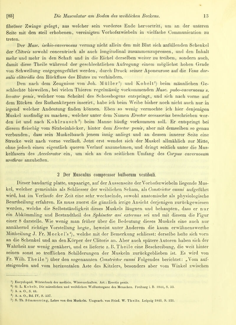 fibröser Zwinge gelegt, aus welcher sein vorderes Ende hervortritt, um an der unteren Seite mit den steil erhobenen, vereinigten Vorhofszwiebeln in vielfache Communication zu treten. Der Muse, ischio-cavernosus vermag nicht allein den mit Blut sich anfüllenden Schenkel der Glitoris sowohl concentrisch als auch longitudinal zusammenzupressen, und den Inhalt mehr und mehr in den Schaft und in die Eichel derselben weiter zu treiben, sondern auch, damit diese Theile während der geschlechtlichen Aufregung einem möglichst hohen Grade von Schwellung entgegengeführt werden, durch Druck seiner Aponeurose auf die Vena dor- salis clitoridis den Rückflüss des Blutes zu verhindern. Den nach dem Zeugnisse von Joh. Müller1) und Kobelt2) beim männlichen Ge- schlechte bisweilen, bei vielen Thieren regelmässig vorkommenden Muse, pubo-eavernosus s. levator penis, welcher vom Scheitel des Schossbogens entspringt, und sich nach vorne auf dem Rücken des Ruthenkörpers inserirt, habe ich beim Weibe bisher noch nicht auch nur in irgend welcher Andeutung finden können. Eben so wenig vermochte ich hier denjenigen Muskel ausfindig zu machen, welcher unter dem Namen Erector accessorius beschrieben wor- den ist und nach Kohlrausch3) beim Manne häufig vorkommen soll. Er entspringt bei diesem fleischig vom Sitzbeinhöcker, hinter dem Erector penis, aber mit demselben so genau verbunden, dass sein Muskelbauch jenem innig anliegt und an dessen innerer Seite eine Strecke weit nach vorne verläuft. Jetzt erst wendet sich der Muskel allmählich zur Mitte, ohne jedoch einen eigentlich queren Verlauf anzunehmen, und dringt seitlich unter die Mus- kelfasern des Accelerator ein, um sich an den seitlichen Umfang des Corpus cavernosum urethrae anzuheften. 2 Der Musculus compressor bulborum vestibuli. Dieser bandartig platte, unpaarige, auf der Aussenseite der Vorhofszwiebeln liegende Mus- kel, welcher gemeinhin als Schliesser der weiblichen Scham, als Constrictor cunni aufgeführt wird, hat im Verlaufe der Zeit eine sehr wechselnde, sowohl anatomische als physiologische Beurtheilung erfahren. Es muss zuerst die gänzlich irrige Ansicht derjenigen zurückgewiesen werden, welche die Selbstständigkeit dieses Muskels läugnen und behaupten, dass er nur ein Abkömmling und Bestandtheil des Sphincter ani externus sei und mit diesem die Figur einer 8 darstelle. Wie wenig man früher über die Bedeutung dieses Muskels eine auch nur annähernd richtige Vorstellung hegte, beweist unter Anderem die kaum erwähnenswerthe Mittheilung J. Fr. Meckel's4), welche mit der Bemerkung schliesst: derselbe hefte sich vorn an die Schenkel und an den Körper der Clitoris an. Aber auch spätere Autoren haben sich der Wahrheit nur wenig genähert, und es lieferte z. B. Theile eine Beschreibung, die weit hinter seinen sonst so trefflichen Schilderungen der Muskeln zurückgeblieben ist. Es wird von Fr. Wilh. Theile0) über den sogenannten Constrictor cunni Folgendes berichtet: ,,Vom auf- steigenden und vom horizontalen Aste des Kitzlers, besonders aber vom Winkel zwischen 1) Encyclopäd. Wörterbuch der medicin. Wissenschaften. Art.: Erectio penis. 2) G. L. Kobelt, Die männlichen und weiblichen Wollustorgane des Menschen. Freiburg i. B. 1844, S. 33. 3) A. a. 0., S. 44. 4) A. a. 0., Bd. IV, S. 537. 5) S. Th. Sömmerring, Lehre von den Muskeln. Umgearb. von Fried. W. Theile. Leipzig 1841, S. 121.