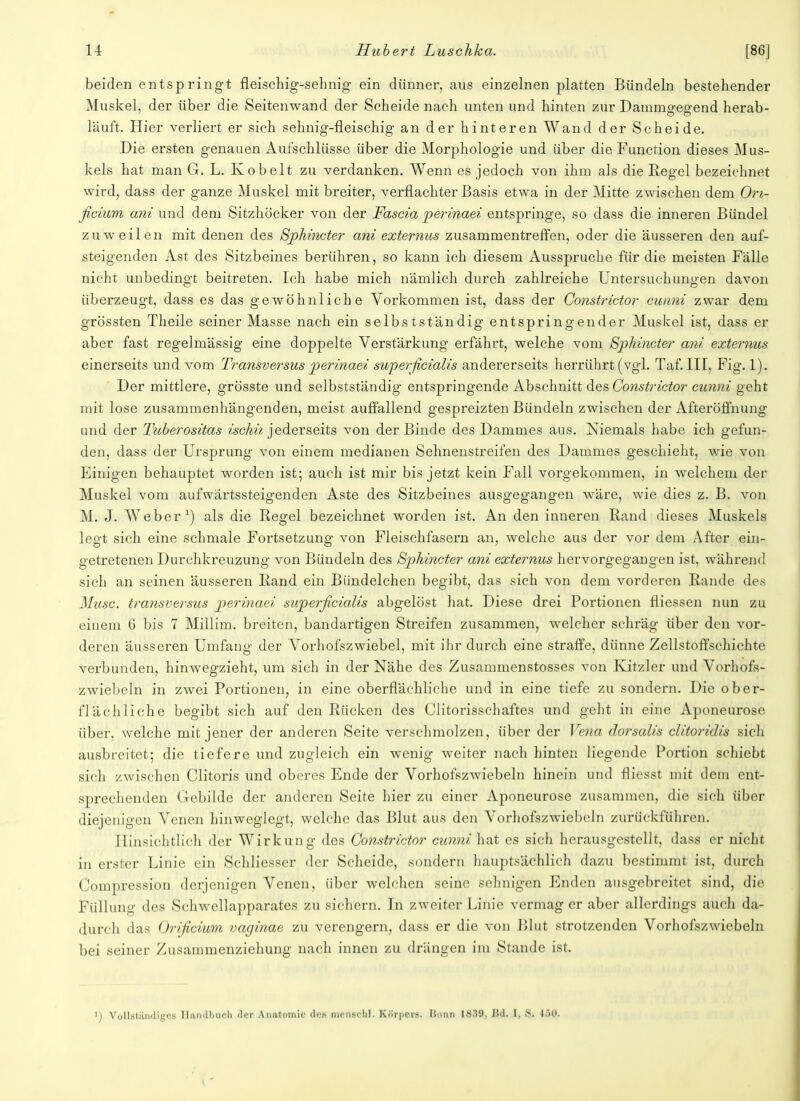 beiden entspringt fleischig-sehnig ein dünner, aus einzelnen platten Bündeln bestehender Muskel, der über die Seitenwand der Scheidenach unten und hinten zur Dammgegend herab- läuft. Hier verliert er sich sehnig-fleischig an der hinteren Wand der Scheide. Die ersten genauen Aufschlüsse über die Morphologie und über die Function dieses Mus- kels hat man G. L. Kobelt zu verdanken. Wenn es jedoch von ihm als die Eegel bezeichnet wird, dass der ganze Muskel mit breiter, verflachter Basis etwa in der Mitte zwischen dem On- ficium ani und dem Sitzhöcker von der Fascia perinaei entspringe, so dass die inneren Bündel zuweilen mit denen des Sphincter ani externus zusammentreffen, oder die äusseren den auf- steigenden Ast des Sitzbeines berühren, so kann ich diesem Ausspruche für die meisten Fälle nicht unbedingt beitreten. Ich habe mich nämlich durch zahlreiche Untersuchungen davon überzeugt, dass es das gewöhnliche Vorkommen ist, dass der Gonstrictor cunni zwar dem grössten Theile seiner Masse nach ein selbstständig entspringender Muskel ist, dass er aber fast regelmässig eine doppelte Verstärkung erfährt, welche vom Sphincter ani externus einerseits und vom Transversus perinaei superficialis andererseits herrührt (vgl. Taf. III, Fig. 1). Der mittlere, grösste und selbstständig entspringende Abschnitt des Constrictor cunni geht mit lose zusammenhängenden, meist auffallend gespreizten Bündeln zwischen der Afteröffnung und der Tuberositas ischii jederseits von der Binde des Dammes aus. Niemals habe ich gefun- den, dass der Ursprung von einem medianen Sehnenstreifen des Dammes geschieht, wie von Einigen behauptet worden ist; auch ist mir bis jetzt kein Fall vorgekommen, in welchem der Muskel vom aufwärtssteigenden Aste des Sitzbeines ausgegangen wäre, wie dies z. B. von Mi J. Weber1) als die Hegel bezeichnet worden ist. An den inneren Rand dieses Muskels legt sich eine schmale Fortsetzung von Fleischfasern an, welche aus der vor dem After ein- getretenen Durchkreuzung von Bündeln des Sphincter ani externus hervorgegangen ist, während sich an seinen äusseren Rand ein Biindelchen begibt, das sich von dem vorderen Rande des Muse, transversus perinaei superficialis abgelöst hat. Diese drei Portionen fliessen nun zu einem 6 bis 7 Millim. breiten, bandartigen Streifen zusammen, welcher schräg über den vor- deren äusseren Umfang der Vorhofszwiebel, mit ihr durch eine straffe, dünne Zellstoffschichte verbunden, hinwegzieht, um sich in der Nähe des Zusammenstosses von Kitzler und Vorhofs- zwiebeln in zwei Portionen, in eine oberflächliche und in eine tiefe zu sondern. Die ober- flächliche begibt sich auf den Rücken des Clitorisschaftes und geht in eine Aponeurose über, welche mit jener der anderen Seite verschmolzen, über der Vena dorsalis clitoridis sich ausbreitet; die tiefere und zugleich ein wenig weiter nach hinten liegende Portion schiebt sich zwischen Clitoris und oberes Ende der Vorhofszwiebeln hinein und fliesst mit dem ent- sprechenden Gebilde der anderen Seite hier zu einer Aponeurose zusammen, die sich über diejenigen Venen hinweglegt, welche das Blut aus den Vorhofszwiebeln zurückführen. Hinsichtlich der Wirkung des Gonstrictor cunni hat es sich herausgestellt, dass er nicht in erster Linie ein Schliesser der Scheide, sondern hauptsächlich dazu bestimmt ist, durch Compression derjenigen Venen, über welchen seine sehnigen Enden ausgebreitet sind, die Füllung des Schwellapparates zu sichern. In zweiter Linie vermag er aber allerdings auch da- durch das Orificium vaginae zu verengern, dass er die von Blut strotzenden Vorhofszwiebeln bei seiner Zusammenziehung nach innen zu drängen im Stande ist. *) Vollständiges Handbuch der Anatomie dos niensclil. Kiir|>crs. Bonn 1839. J5d. I. S. I.>(.i.