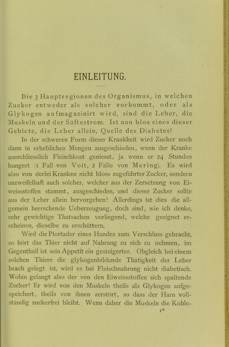 EINLEITUNG. Die 3 Hauptregionen des Organismus, in welchen Zucker entweder als solcher vorkommt, oder als Glykogen au fmagazinirt wird, sind die Leber, die Muskeln und der Säftestrom. Ist nun blos eines dieser Gebiete, die Leber allein, Quelle des Diabetes? In der schweren Form dieser Krankheit wird Zucker noch dann in erheblichen Mengen ausgeschieden, wenn der Kranke ausschliesslich Fleischkost geniesst, ja wenn er 24 Stunden hungert (i Fall von Voit, 2 Fälle von Mering). Es wird also von derlei Kranken nicht bloss zugeführter Zucker, sondern unzweifelhaft auch solcher, welcher aus der Zersetzung von Ei- weissstoffen stammt, ausgeschieden, und dieser Zucker sollte aus der Leber allein hervorgehen? Allerdings ist dies die all- gemein herrschende Ueberzeugung, doch sind, wie ich denke, sehr gewichtige Thatsachen vorliegend, welche geeignet er- scheinen, dieselbe zu erschüttern. Wird diePlortader eines Hundes zum Verschluss gebracht, so hört das Thier nicht auf Nahrung zu sich zu nehmen, im Gegentheil ist sein Appetit ein gesteigerter. Obgleich bei einem solchen Thiere die glykogenbildende Thätigkeit der Leber brach gelegt ist, wird es bei Fleischnahrung nicht diabetisch. Wohin gelangt also der von den Eiweissstoffen sich spaltende Zucker? Er wird von den Muskeln theils als Glykogen aufge- speichert, theils von ihnen zerstört, so dass der Harn voll- ständig zuckerfrei bleibt. Wenn daher die Muskeln die Kohle-