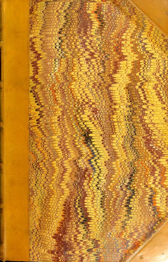 No text description is available for this image