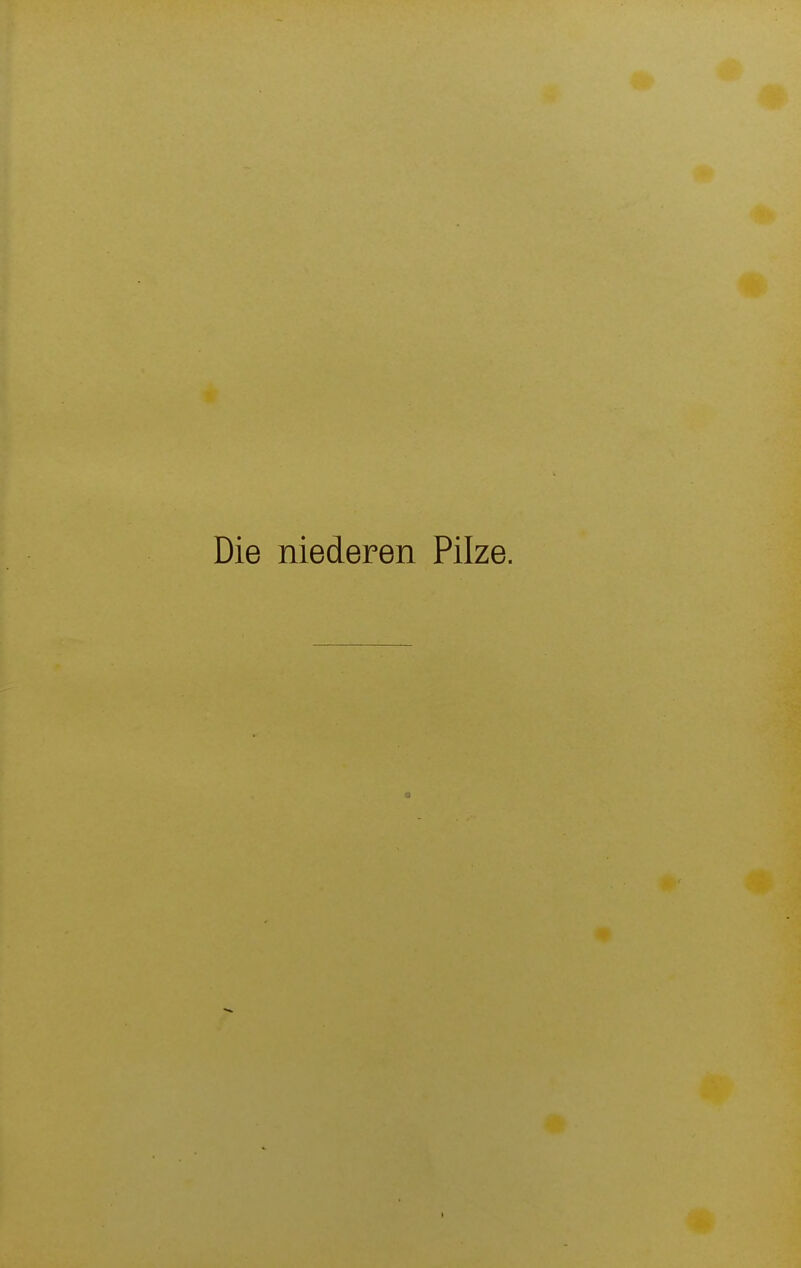 Die niederen Pilze.