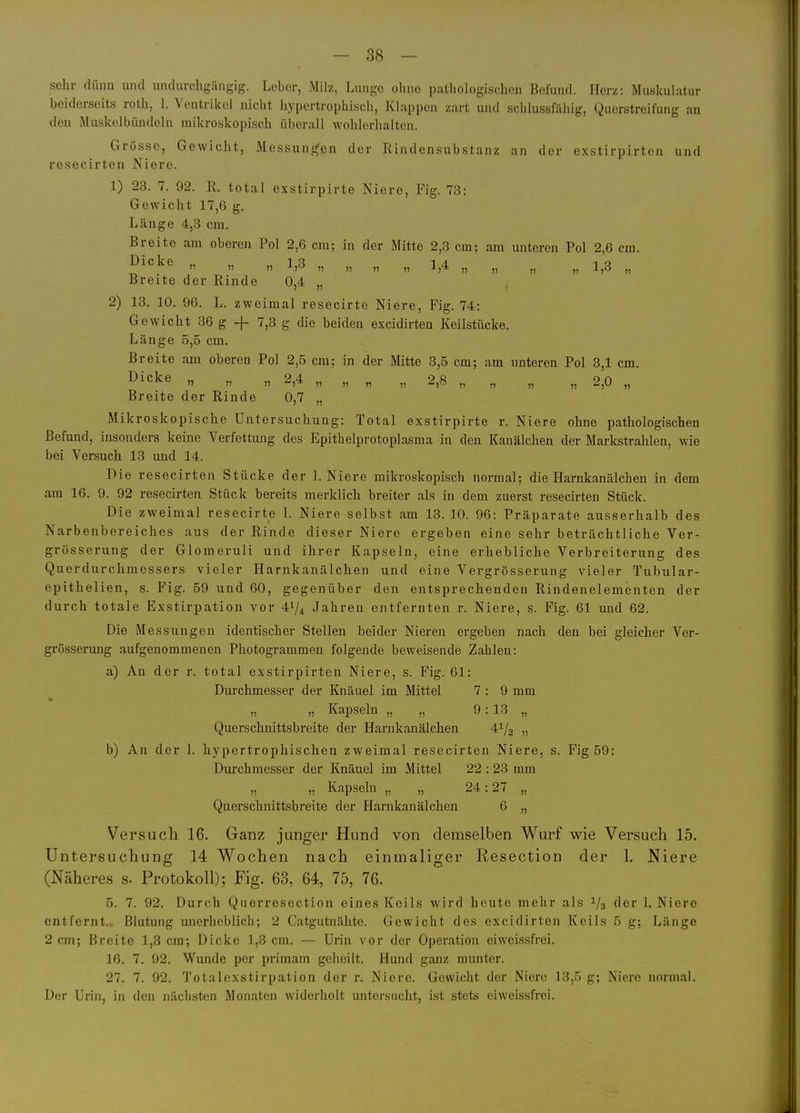 sehr dünn niul undurchgängig. Leber, Milz, Lunge olmo pathologischen Befund. Herz: Muskulatur beiderseits roth, 1. Ventrikel nicht liypertrophiscli, Klappen zart und schlusslilliig, Querstreifung an den Muskelbttndeln mikroskopisch überall wohlerhalten. Grösse, Gewicht, Messunpjen der Rindensubstanz an der exstirpirten und resecirten Niere. 1) 23. 7. 92. R. total exstirpirte Niere, Fig. 73: Gewicht 17,6 g. Länge 4,3 cm. Breite am oberen Pol 2,6 cm; in der Mitte 2,3 cm; am unteren Pol 2,6 cm. ^'''^^ »  » „ „ „ „ 1,4 „ „ „ „ 1,3 „ Breite der Rinde 0,4 „ 2) 13. 10. 96. L. zweimal resecirte Niere, Fig. 74: Gewicht 36 g -f- 7,3 g die beiden excidirten Keilstücke. Länge 5,5 cm. Breite am oberen Pol 2,5 cm; in der Mitte 3,5 cm; am unteren Pol 3,1 cm. Dicke „ „ „ 2,4 „ „ „ „ 2,8 „ „ „ „ 2,0 „ Breite der Rinde 0,7 „ Mikroskopische Untersuchung: Total exstirpirte r. Niere ohne pathologischen Befund, insonders keine Verfettimg des Epithelprotoplasma in den Kanälchen der Markstrahlen, wie bei Versuch 13 und 14. Die resecirten Stücke der I.Niere mikroskopisch normal; die Harnkanälchen in dem am 16. 9. 92 resecirten Stück bereits merklich breiter als in dem zuerst resecirten Stück. Die zweimal resecirte 1. Niere selbst am 13. 10. 96: Präparate ausserhalb des Narbenbereiches aus der Rinde dieser Niere ergeben eine sehr beträchtliche Ver- grösserung der Glomeruli und ihrer Kapseln, eine erhebliche Verbreiterung des Querdurchmessers vieler Harnkanälchen und eine Vergrösserung vieler Tubular- epithelien, s. Fig. 59 und 60, gegenüber den entsprechenden Riudenelementen der durch totale Exstirpation vor 41/4 Jahren entfernten r. Niere, s. Fig. 61 und 62, Die Messungen identischer Stellen beider Nieren ergeben nach den bei gleicher Ver- grösserung aufgenommenen Photogrammen folgende beweisende Zahlen: a) An der r. total exstirpirten Niere, s. Fig. 61: Durchmesser der Knäuel im Mittel 7 : 9 mm „ „ Kapseln „ „ 9: 13 „ Querschnittsbreite der Harnkanälchen 41/2 „ b) An der 1. hypertrophischen zweimal resecirten Niere, s. Fig59: Durchmesser der Knäuel im Mittel 22 :23 mm „ „ Kapseln „ „ 24:27 „ Querschnittsbreite der Harnkanälchen 6 „ Versuch 16. Ganz junger Hund von demselben Wurf wie Versuch 15. Untersuchung 14 Wochen nach einmaliger Resection der 1. Niere (Näheres s. Protokoll); Fig. 63, 64, 75, 76. 5. 7. 92. Durch Querresection eines Keils wird heute mehr als 1/3 der 1. Niere entfernt. Blutung unerheblich; 2 Catgutnähte. Gewicht des excidirten Keils 5 g; Länge 2 cm; Breite 1,3 cm; Dicke 1,3 cm. — Urin vor der Operation eiweissfrei. 16. 7. 92. Wunde per primam geheilt. Hund ganz munter. 27. 7. 92. Totalexstirpation der r. Niere. Gewicht der Niere 13,5 g; Niere normal. Der Urin, in den Jiächsten Monaten widerholt untersucht, ist stets eiweissfrei.