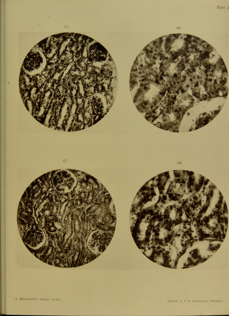 Tafel :S A. Hlrschwalrrs Verlnf?, Berlin.