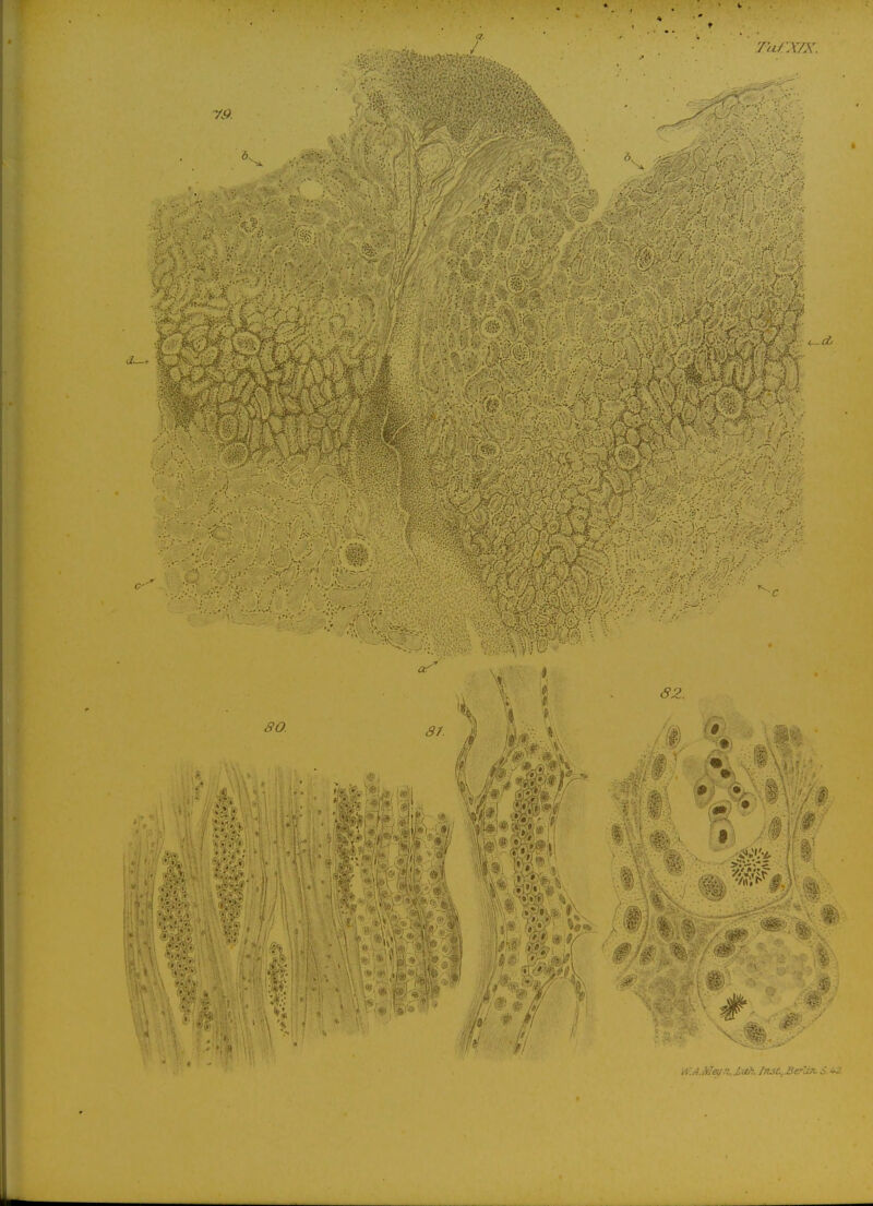 TafXTX. 'V- ■ > - y ■ ''V >i:i: - r' • -V' 'S ^ * «1* .CS-'