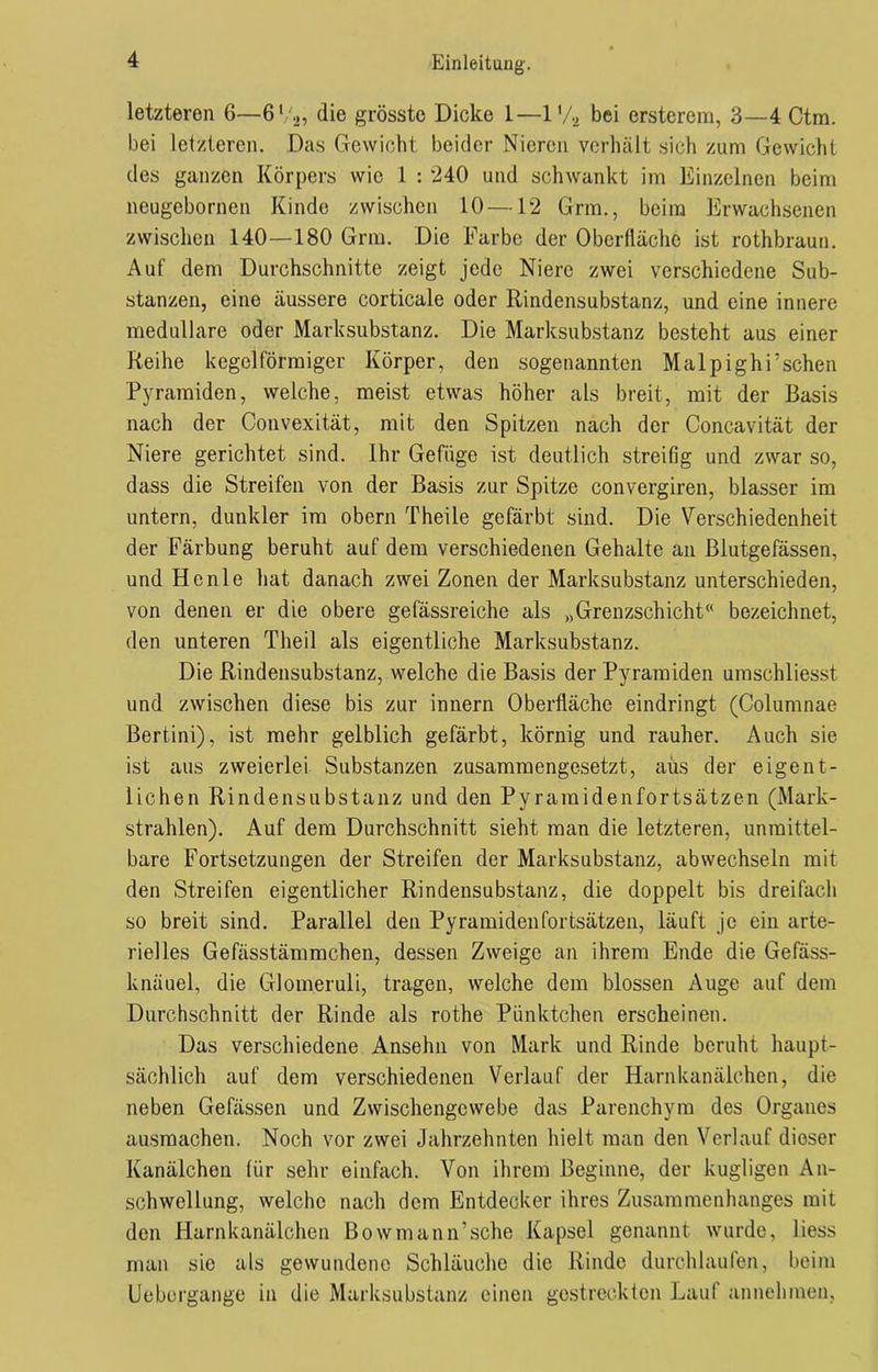 letzteren 6—6'/2, die grösste Dicke 1—1'/2 bei ersterem, 3—4 Ctm. bei letzteren. Das Gewicht beider Nieren verhält sich zum Gewicht des ganzen Körpers wie 1 : 240 und schwankt im Einzelnen beim neugebornen Kinde zwischen 10 —12 Grm., beim Erwachsenen zwischen 140—180 Grm. Die Farbe der Oberfläche ist rothbraun. Auf dem Durchschnitte zeigt jede Niere zwei verschiedene Sub- stanzen, eine äussere corticale oder Rindensubstanz, und eine innere medulläre oder Marksubstanz. Die Marksubstanz besteht aus einer Reihe kegelförmiger Körper, den sogenannten Malpighi’schen Pyramiden, welche, meist etwas höher als breit, mit der Basis nach der Convexität, mit den Spitzen nach der Concavität der Niere gerichtet sind. Ihr Gefüge ist deutlich streifig und zwar so, dass die Streifen von der Basis zur Spitze convergiren, blasser im untern, dunkler im obern Theile gefärbt sind. Die Verschiedenheit der Färbung beruht auf dem verschiedenen Gehalte an Blutgefässen, und Hcnle hat danach zwei Zonen der Marksubstanz unterschieden, von denen er die obere gefässreiche als „Grenzschicht bezeichnet, den unteren Theil als eigentliche Marksubstanz. Die Rindensubstanz, welche die Basis der Pyramiden umschliesst und zwischen diese bis zur innern Oberfläche eindringt (Columnae Bertini), ist mehr gelblich gefärbt, körnig und rauher. Auch sie ist aus zweierlei Substanzen zusammengesetzt, aus der eigent- lichen Rindensubstanz und den Pyramidenfortsätzen (Mark- strahlen). Auf dem Durchschnitt sieht man die letzteren, unmittel- bare Fortsetzungen der Streifen der Marksubstanz, ab wechseln mit den Streifen eigentlicher Rindensubstanz, die doppelt bis dreifach so breit sind. Parallel den Pyramidenfortsätzen, läuft jo ein arte- rielles Gefässtämmchen, dessen Zweige an ihrem Ende die Gefäss- knäuel, die Glomeruli, tragen, welche dem blossen Auge auf dem Durchschnitt der Rinde als rothe Pünktchen erscheinen. Das verschiedene Ansehn von Mark und Rinde beruht haupt- sächlich auf dem verschiedenen Verlauf der Harnkanälchen, die neben Gefässen und Zwischengewebe das Parenchym des Organes ausraachen. Noch vor zwei Jahrzehnten hielt man den Verlauf dieser Kanälchen für sehr einfach. Von ihrem Beginne, der kugligen An- schwellung, welche nach dem Entdecker ihres Zusammenhanges mit den Harnkanälchen Bowmann’sche Kapsel genannt wurde, liess man sie als gewundene Schläuche die Rinde durchlaufen, beim Uebergange in die Marksubstanz einen gestreckten Lauf annehmen,