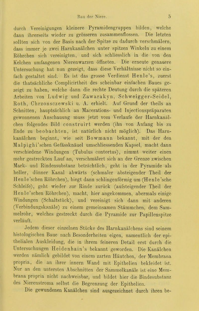 durch Vereinigungen kleinere Pyramidengruppen bilden, welche dann ihrerseits wieder zu grösseren Zusammenflüssen. Die letzten sollten sich von der Basis nach der Spitze zu dadurch verschmälern, dass immer je zwei Harnkanälchen unter spitzen Winkeln zu einem Röhrchen sich vereinigten, und sich schliesslich in die von den Kelchen umfangenen Nierenwarzen öffneten. Die erneute genauere Untersuchung hat nun gezeigt, dass diese Verhältnisse nicht so ein- fach gestaltet sind. Es ist das grosse Verdienst Henle’s, zuerst die thatsächliche Complicirtheit des scheinbar einfachen Baues ge- zeigt zu haben, welche dann die rechte Deutung durch die späteren Arbeiten von Ludwig und Zawarakyn, Schweigger-Seidcl, Roth, Chrzonsczewski u. A. erhielt. Auf Grund der theils an Schnitten, hauptsächlich an Macerations- und Injectionspräparaten gewonnenen Anschauung muss jetzt vom Verlaufe der Harnkanäl- chen folgendes Bild construirt werden (ihn von Anfang bis zu Ende zu beobachten, ist natürlich nicht möglich). Das Harn- kanälchen beginnt, wie seit Bowmann bekannt, mit der den Malpighi’schen Gefässknäuel umschliessenden Kapsel, macht dann verschiedene Windungen (Tubulus contortus), nimmt weiter einen mehr gestreckten Lauf an, verschmälert sich an der Grenze zwischen Mark- und Rindensubstanz beträchtlich, geht in der Pyramide als heller, dünner Kanal abwärts (schmaler absteigender Theil der Henle’schen Röhrchen), biegt dann schlingenförmig um (Henle’sche Schleife), geht wieder zur Rinde zurück (aufsteigender Theil der Hcnlc’schen Röhrchen), macht, hierangekommen, abermals einige Windungen (Schaltstück), und vereinigt sich dann mit anderen (Verbindungskanäle) zu einem gemeinsamen Stämmchcn, dem Sam- melrohr, welches gestreckt durch die Pyramide zur Papillenspitze verläuft. Jedem dieser einzelnen Stücke des Harnkanälchens sind seinem histologischen Baue nach Besonderheiten eigen, namentlich der epi- thelialen Auskleidung, die in ihrem feineren Detail erst durch die Untersuchungen Heidenhain’s bekannt geworden. Die Kanälchen werden nämlich gebildet von einem zarten Häutchen, der Membrana propria, die an ihrer innern Wand mit Epithelien bekleidet ist. Nur an den untersten Abschnitten der Sammelkanäle ist eine Mem- brana propria nicht nachweisbar, und bildet hier die Bindesubstanz des Nierenstroma selbst die Begrenzung der Epithelion. Die gewundenen Kanälchen sind ausgezeichnet durch ihren be-