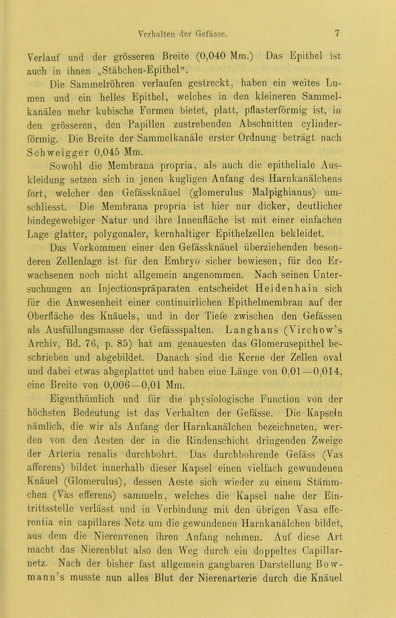 Verlauf und der grösseren Breite (0,040 Mm.) Das Epithel ist auch in ihnen „Stäbchen-Epithel“. Die Sammelröhren verlaufen gestreckt, haben ein weites Lu- men und ein helles Epithel, welches in den kleineren Sammcl- kanälen mehr kubische Formen bietet, platt, pflasterförmig ist, in den grösseren, den Papillen zustrebenden Abschnitten cylinder- förmig. Die Breite der Sammelkanäle erster Ordnung beträgt nach Schweigger 0,045 Mm. Sowohl die Membrana propria, als auch die epitheliale Aus- kleidung setzen sich in jenen kugligen Anfang des Harnkanälchens fort, welcher den Gefässknäuel (glomerulus Malpighianus) um- schliesst. Die Membrana propria ist hier nur dicker, deutlicher bindegewebiger Natur und ihre Innenfläche ist mit einer einfachen Lage glatter, polygonaler, kernhaltiger Epithelzellen bekleidet. Das Vorkommen einer den Gefässknäuel überziehenden beson- deren Zellenlage ist für den Embryo sicher bewiesen, für den Er- wachsenen noch nicht allgemein angenommen. Nach seinen Unter- suchungen an Injectionspräparaten entscheidet Heidenhain sich für die Anwesenheit einer continuirlichen Epithelmembran auf der Oberfläche des Knäuels, und in der Tiefe zwischen den Gefässen als Ausfüllungsmasse der Gefässspalten. Langhaus (Virchow’s Archiv, Bd. 76, p. 85) hat am genauesten das Glomerusepithel be- schrieben und abgebildet. Danach sind die Kerne der Zellen oval und dabei etwas abgeplattet und haben eine Länge von 0,01—0,014, eine Breite von 0,006—0,01 Mm. Eigcnthümlich und für die physiologische Function von der höchsten Bedeutung ist das Verhalten der Gefässe. Die Kapseln nämlich, die wir als Anfang der Harnkanälchen bezeichneten, wer- den von den Aesten der in die Rindenschicht dringenden Zweige der Arteria renalis durchbohrt. Das durchbohrende Gefäss (Vas afferens) bildet innerhalb dieser Kapsel einen vielfach gewundenen Knäuel (Glomerulus), dessen Aeste sich wieder zu einem Stämm- chen (Väs efterens) sammeln, welches die Kapsel nahe der Ein- trittsstelle verlässt und in Verbindung mit den übrigen Vasa eff’c- rentia ein capillares Netz um die gewundenen Harnkanälchen bildet, aus dem die Nierenvenen ihren Anfang nehmen. Auf diese Art macht das Nierenblut also den Weg durch ein doppeltes Oapillar- netz. Nach der bisher fast allgemein gangbaren Darstellung ßow- mann’s musste nun alles Blut der Nierenarterie durch die Knäuel