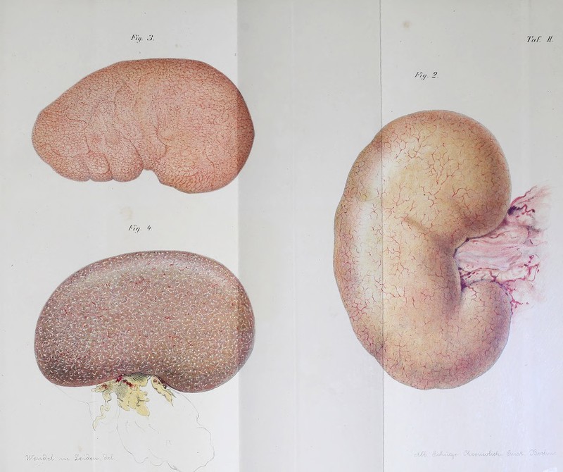 Fit,. 3. Fit, '+ Ta£ 11 9 I rXj% GVm/jA. - e75/yc/ V