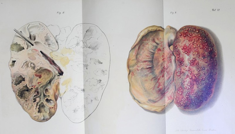 / i c/. (b\ JU. 2~’/cAaa QjM-fc/C' n^/y/Jlwis