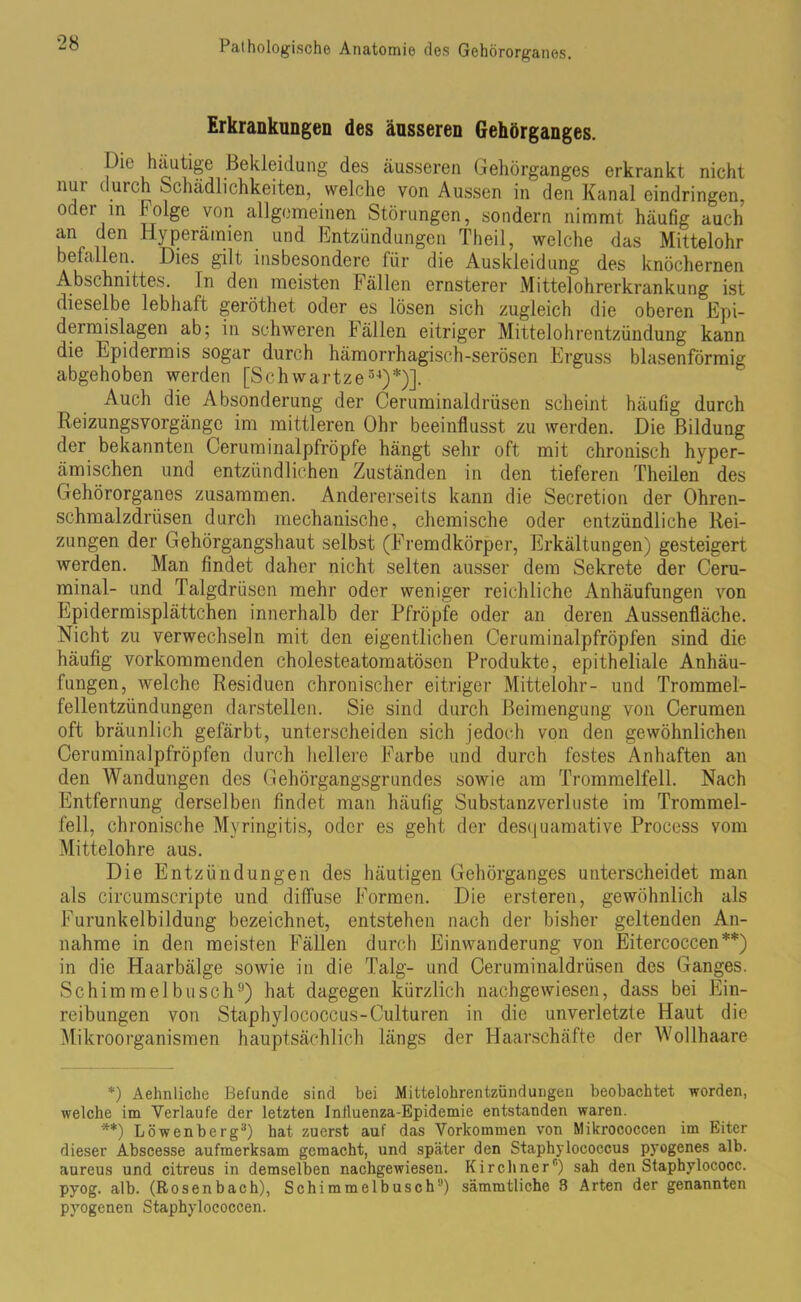 Erkrankungen des äusseren Gehörganges. pic häutige Bekleidung des äusseren Gehörganges erkrankt nicht nui durch Schädlichkeiten, welche von Aussen in den Kanal eindringen, oder m Folge von allgemeinen Störungen, sondern nimmt häufig auch an den Hyperämien und Entzündungen Theil, welche das Mittelohr befallen. Dies gilt insbesondere für die Auskleidung des knöchernen Abschnittes. In den meisten Fällen ernsterer Mittelohrerkrankung ist dieselbe lebhaft geröthet oder es lösen sich zugleich die oberen Epi- dermislagen ab; in schweren Fällen eitriger Mittelohrentzündung kann die Epidermis sogar durch hämorrhagisch-serösen Erguss blasenförmig abgehoben werden [Schwartze34)*)]. Auch die Absonderung der Ceruminaldrüsen scheint häufig durch Reizungsvorgänge im mittleren Ohr beeinflusst zu werden. Die Bildung der bekannten Ceruminalpfröpfe hängt sehr oft mit chronisch hyper- ämischen und entzündlichen Zuständen in den tieferen Theilen des Gehörorganes zusammen. Andererseits kann die Secretion der Ohren- schmalzdrüsen durch mechanische, chemische oder entzündliche Rei- zungen der Gehörgangshaut selbst (Fremdkörper, Erkältungen) gesteigert werden. Man findet daher nicht selten ausser dem Sekrete der Ceru- minal- und Talgdrüsen mehr oder weniger reichliche Anhäufungen von Epidermisplättchen innerhalb der Pfropfe oder an deren Aussenfläche. Nicht zu verwechseln mit den eigentlichen Ceruminalpfröpfen sind die häufig vorkommenden cholesteatomatösen Produkte, epitheliale Anhäu- fungen, welche Residuen chronischer eitriger Mittelohr- und Trommel- fellentzündungen darstellen. Sie sind durch Beimengung von Cerumen oft bräunlich gefärbt, unterscheiden sich jedoch von den gewöhnlichen Ceruminalpfröpfen durch hellere Farbe und durch festes Anhaften an den Wandungen des Gehörgangsgrundes sowie am Trommelfell. Nach Entfernung derselben findet man häufig Substanzverluste im Trommel- fell, chronische Myringitis, oder es geht der desquamative Process vom Mittelohre aus. Die Entzündungen des häutigen Gehörganges unterscheidet man als circumscripte und diffuse Formen. Die ersteren, gewöhnlich als Furunkelbildung bezeichnet, entstehen nach der bisher geltenden An- nahme in den meisten Fällen durch Einwanderung von Eitercoccen **) in die Haarbälge sowie in die Talg- und Ceruminaldrüsen des Ganges. Schimmelb lisch9) hat dagegen kürzlich nachgewiesen, dass bei Ein- reibungen von Staphylococcus-Culturen in die unverletzte Haut die Mikroorganismen hauptsächlich längs der Haarschäfte der Wollhaare *) Aehnliche Befunde sind bei Mittelohrentzündungen beobachtet worden, welche im Verlaufe der letzten Influenza-Epidemie entstanden waren. **) Löwenberg3) hat zuerst auf das Vorkommen von Mikrococcen im Eiter dieser Abscesse aufmerksam gemacht, und später den Staphylococcus pyogenes alb. aureus und citreus in demselben nachgewiesen. Kirchner6) sah den Staphylococc. pyog. alb. (Rosenbach), Schimmelbusch1') sämmtliche 3 Arten der genannten pyogenen Staphylococcen.