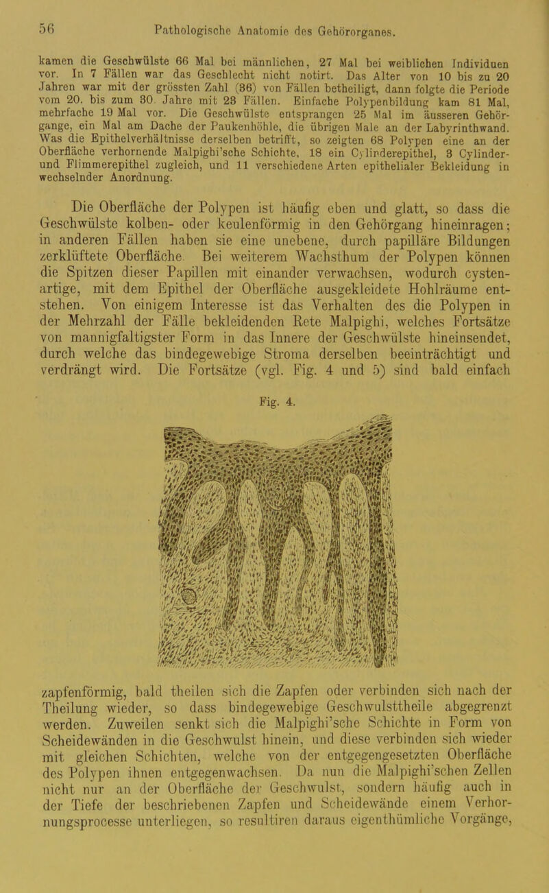 kamen die Geschwülste 66 Mal bei männlichen, 27 Mal bei weiblichen Individuen vor. In 7 Fällen war das Geschlecht nicht notirt. Das Alter von 10 bis zu 20 Jahren war mit der grössten Zahl (36) von Fällen betheiligt, dann folgte die Periode vom 20. bis zum 30 Jahre mit 23 Fällen. Einfache Polypenbildung kam 81 Mal, mehrfache 19 Mal vor. Die Geschwülste entsprangen 25 Mal im äusseren Gehör- gange, ein Mal am Dache der Paukenhöhle, die übrigen Male an der Labyrinthwand. Was die Epithelverhältnisse derselben betrifft, so zeigten 68 Polypen eine an der Oberfläche verhornende Malpighi’sche Schichte, 18 ein Cylirderepithel, 3 Cylinder- und Flimmerepithel zugleich, und 11 verschiedene Arten epithelialer Bekleidung in wechselnder Anordnung. Die Oberfläche der Polypen ist häufig eben und glatt, so dass die Geschwülste kolben- oder keulenförmig in den Gehörgang hineinragen; in anderen Fällen haben sie eine unebene, durch papilläre Bildungen zerklüftete Oberfläche. Bei weiterem Wachsthum der Polypen können die Spitzen dieser Papillen mit einander verwachsen, wodurch cysten- artige, mit dem Epithel der Oberfläche ausgekleidete Hohlräume ent- stehen. Von einigem Interesse ist das Verhalten des die Polypen in der Mehrzahl der Fälle bekleidenden Rete Malpighi, welches Fortsätze von mannigfaltigster Form in das Innere der Geschwülste hineinsendet, durch welche das bindegewebige Stroma derselben beeinträchtigt und verdrängt wird. Die Fortsätze (vgl. Fig. 4 und 5) sind bald einfach Fig. 4. zapfenförmig, bald theilen sich die Zapfen oder verbinden sich nach der Theilung wieder, so dass bindegewebige Geschwulsttheite abgegrenzt werden. Zuweilen senkt sich die Malpighi’sche Schichte in Form von Scheidewänden in die Geschwulst hinein, und diese verbinden sich wieder mit gleichen Schichten, welche von der entgegengesetzten Oberfläche des Polypen ihnen entgegen wachsen. Da nun die Malpighi sehen Zellen nicht nur an der Oberfläche der Geschwulst, sondern häufig auch in der Tiefe der beschriebenen Zapfen und Scheidewände einem Verhor- nungsprocesse unterliegen, so resultiren daraus eigenthümliche Vorgänge,