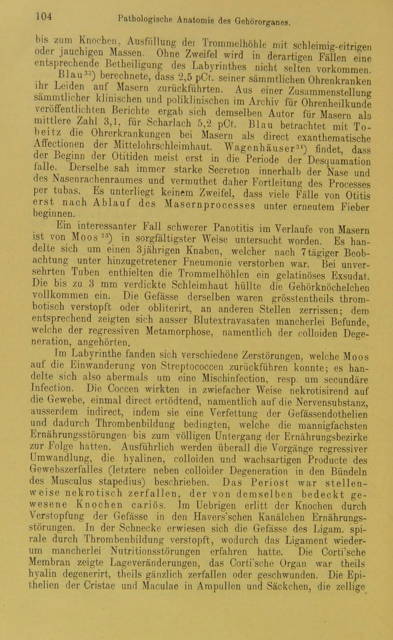 bis zum Knochen, Ausfüllung dei Trommelhöhle mit schleimig-eitrigen oder jauchigen Massen. Ohne Zweifel wird in derartigen Fällen eine entsprechende Betheiligung des Labyrinthes nicht selten Vorkommen. au-) berechnete, dass 2,5 pCt. seiner sämmtlichen Ohrenkranken ihr Leiden auf Masern zurückführten. Aus einer Zusammenstellung sammtlichei klinischen und poliklinischen im Archiv für Ohrenheilkunde veröffentlichten Berichte ergab sich demselben Autor für Masern als mittlere Zahl 3,1, für Scharlach 5,2 pCt. Blau betrachtet mit To- beitz die Ohrerkrankungen bei Masern als direct exanthematische Affectionen der Mittelohrschleimhaut. Wagenhäuser31) findet dass der Beginn der Otitiden meist erst in die Periode der Desquamation lalle. Derselbe sah immer starke Secretion innerhalb der Nase und des Nasenrachenraumes und vermuthet daher Fortleitung des Processes per tubas. Es unterliegt keinem Zweifel, dass viele Fälle von Otitis erst nach Ablauf des Masernprocesses unter erneutem Fieber beginnen. Ein interessanter Fall schwerer Panotitis im Verlaufe von Masern ist von Moos35) in sorgfältigster Weise untersucht worden. Es han- delte sich um einen 3jährigen Knaben, welcher nach 7tägiger Beob- achtung ^ unter hinzugetretener Pneumonie verstorben war. Bei unver- sehrten Tuben enthielten die 1 rommelhöhlen ein gelatinöses Exsudat. Die bis zu 3 mm verdickte Schleimhaut hüllte die Gehörknöchelchen vollkommen ein. Die Gefässe derselben waren grösstentheils throm- botisch verstopft oder obliterirt, an anderen Stellen zerrissen; dem entsprechend zeigten sich ausser Blutextravasaten mancherlei Befunde, welche der regressiven Metamorphose, namentlich der colloiden Dege- neration, angehörten. Ln Labyrinthe fanden sich verschiedene Zerstörungen, welche Moos auf die Einwanderung von Streptococcen zuriiekführen konnte; es han- delte sich also abermals um eine Mischinfection, resp. um secundäre Infection. Die Coccen wirkten in zwiefacher Weise nekrotisirend auf die Gewebe, einmal direct ertödtend, namentlich auf die Nervensubstanz, ausserdem indirect, indem sie eine Verfettung der Gefässendothelien und dadurch 1 hrombenbildung bedingten, welche die mannigfachsten Ernährungsstörungen bis zum völligen Untergang der Ernährungsbezirke zur Folge hatten. Ausführlich werden überall die Vorgänge regressiver Umwandlung, die hyalinen, colloiden und wachsartigen Producte des Gewebszerfalles (letztere neben colloider Degeneration in den Bündeln des Musculus stapedius) beschrieben. Das Periost war stellen- weise nekrotisch zerfallen, der von demselben bedeckt ge- wesene Knochen cariös. Im Uebrigen erlitt der Knochen durch Verstopfung der Gefässe in den Havers’schen Kanälchen Ernährungs- störungen. In der Schnecke erwiesen sich die Gefässe des Ligam. spi- rale durch Thrombenbildung verstopft, wodurch das Ligament wieder- um mancherlei Nutritionsstörungen erfahren hatte. Die Cortrsche Membran zeigte Lageveränderungen, das Corti'sche Organ war theils hyalin degenerirt, theils gänzlich zerfallen oder geschwunden. Die Epi- thelien der Cristae und Maculae in Ampullen und Säckchen, die zeitige