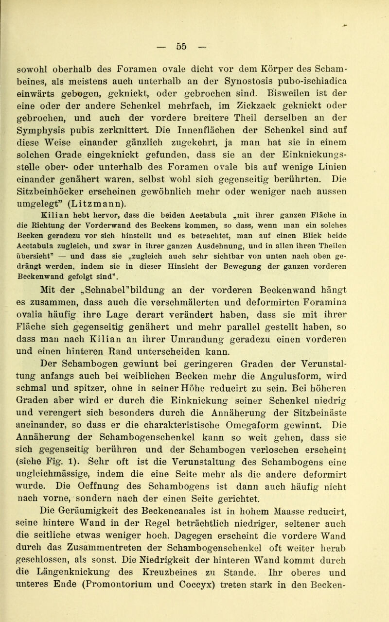 sowohl oberhalb des Foramen ovale dicht vor dem Körper des Scham- beines, als meistens auch unterhalb an der Synostosis pubo-ischiadica einwärts gebogen, geknickt, oder gebrochen sind. Bisweilen ist der eine oder der andere Schenkel mehrfach, im Zickzack geknickt oder gebrochen, und auch der vordere breitere Theil derselben an der Symphysis pubis zerknittert. Die Innenflächen der Schenkel sind auf diese Weise einander gänzlich zugekehrt, ja man hat sie in einem solchen Grade eingeknickt gefunden, dass sie an der Einknickungs- stelle ober- oder unterhalb des Foramen ovale bis auf wenige Linien einander genähert waren, selbst wohl sich gegenseitig berührten. Die Sitzbeinhöcker erscheinen gewöhnlich mehr oder weniger nach aussen umgelegt (Litzmann). Kilian hebt hervor, dass die beiden Acetabula „mit ihrer ganzen Fläche in die Richtung der Vorderwand des Beckens kommen, so dass, wenn man ein solches Becken geradezu vor sich hinstellt und es betrachtet, man auf einen Blick beide Acetabula zugleich, und zwar in ihrer ganzen Ausdehnung, und in allen ihren Theilen übersieht — und dass sie „zugleich auch sehr sichtbar von unten nach oben ge- drängt werden, indem sie in dieser Hinsicht der Bewegung der ganzen vorderen Beckenwand gefolgt sind. Mit der „Schnabelbildung an der vorderen Beckenwand hängt es zusammen, dass auch die verschmälerten und deformirten Foramina ovalia häufig ihre Lage derart verändert haben, dass sie mit ihrer Fläche sich gegenseitig genähert und mehr parallel gestellt haben, so dass man nach Kilian an ihrer Umrandung geradezu einen vorderen und einen hinteren Rand unterscheiden kann. Der Schambogen gewinnt bei geringeren Graden der Verunstal- tung anfangs auch bei weiblichen Becken mehr die Angulusform, wird schmal und spitzer, ohne in seiner Höhe reducirt zu sein. Bei höheren Graden aber wird er durch die Einknickung seiner Schenkel niedrig und verengert sich besonders durch die Annäherung der Sitzbeinäste aneinander, so dass er die charakteristische Omegaform gewinnt. Die Annäherung der Schambogenschenkel kann so weit gehen, dass sie sich gegenseitig berühren und der Schambogen verloschen erscheint (siehe Fig. 1). Sehr oft ist die Verunstaltung des Schambogens eine ungleichmässige, indem die eine Seite mehr als die andere deformirt wurde. Die Oeffnung des Schambogens ist dann auch häufig nicht nach vorne, sondern nach der einen Seite gerichtet. Die Geräumigkeit des Beckencanales ist in hohem Maasse reducirt, seine hintere Wand in der Regel beträchtlich niedriger, seltener auch die seitliche etwas weniger hoch. Dagegen erscheint die vordere Wand durch das Zusammentreten der Schambogenschenkel oft weiter herab geschlossen, als sonst. Die Niedrigkeit der hinteren Wand kommt durch die Längenknickung des Kreuzbeines zu Stande. Ihr oberes und unteres Ende (Promontorium und Coccyx) treten stark in den Becken-