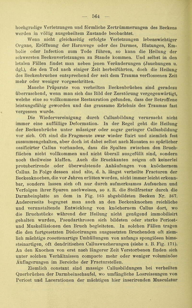 hochgradige Verletzungen und förmliche Zertrümmerungen des Beckens werden in völlig ausgeheiltem Zustande beobachtet. Wenn nicht gleichzeitig erfolgte Verletzungen lebenswichtiger Organe, Eröffnung der Harnwege oder des Darmes, Blutungen, Em- bolie oder Infection zum Tode führen, so kann die Heilung der schwersten Beckenverletzungen zu Stande kommen. Und selbst in den letalen Fällen findet man neben jenen Veränderungen (Jauchungen u. dgl.), die den Tod nach einiger Zeit herbeiführten, doch die Heilung des Beckenbruches entsprechend der seit dem Trauma verflossenen Zeit mehr oder weniger vorgeschritten. Manche Präparate von verheilten Beckenbrüchen sind geradezu überraschend, wenn man sich das Bild der Zerstörung vergegenwärtigt, welche eine so vollkommene Restauration gefunden, dass der Betroffene leistungsfähig geworden und das grausame Erlebnis des Traumas fast vergessen wurde. Die Wiedervereinigung durch Callusbildung verursacht nicht immer eine auffällige Deformation. In der Regel geht die Heilung der Beckenbrüche unter massiger oder sogar geringer Callusbildung vor sich. Oft sind die Fragmente zwar wieder fixirt und ziemlich fest zusammengehalten, aber doch ist dabei selbst nach Monaten so spärlicher ossificirter Gallus vorhanden, dass die Spalten zwischen den Bruch- flächen nicht vollkommen und nicht überall ausgefüllt sind, sondern noch theilweise klaffen. Auch die Bruchkanten zeigen oft keinerlei protuberirende oder überwulstende Anhäufungen von knöchernem Gallus. In Folge dessen sind alte, d. h. längst verheilte Fracturen der Beckenknochen, die vor Jahren erlitten worden, nicht immer leicht erkenn- bar, sondern lassen sich oft nur durch aufmerksames Aufsuchen und Verfolgen ihrer Spuren nachweisen, so z. B. die Steilfractur durch die Darmbeinplatte an dem in Fig. 165 abgebildeten Becken Nr. 367. Andererseits begegnet man auch an den Beckenknochen reichliche und verunstaltende Entwicklung von knöchernem Gallus dort, wo die Bruchstücke während der Heilung nicht genügend immobilisirt gehalten wurden, Pseudarthrosen sich bildeten oder starke Periost- und Muskelläsionen den Bruch begleiteten. In solchen Fällen tragen die den fortgesetzten Dislocirungen ausgesetzten Bruchenden oft ziem- lich mächtige rosettenartige Umhüllungen von anfangs spongiösen bims- steinartigen, oft dendritischen Galluswucherungen (siehe z. B. Fig. 171). An den Knochen von erst nach längerer Zeit Verstorbenen finden sich unter solchen Verhältnissen compacte mehr oder weniger voluminöse Auflagerungen im Bereiche der Fracturstellen. Ziemlich constant sind massige Gallusbildungen bei verheilten Querbrüchen der Darmbeinschaufel, wo umfängliche Losreissungen von Periost und Lacerationen der mächtigen hier inserirenden Musculatur